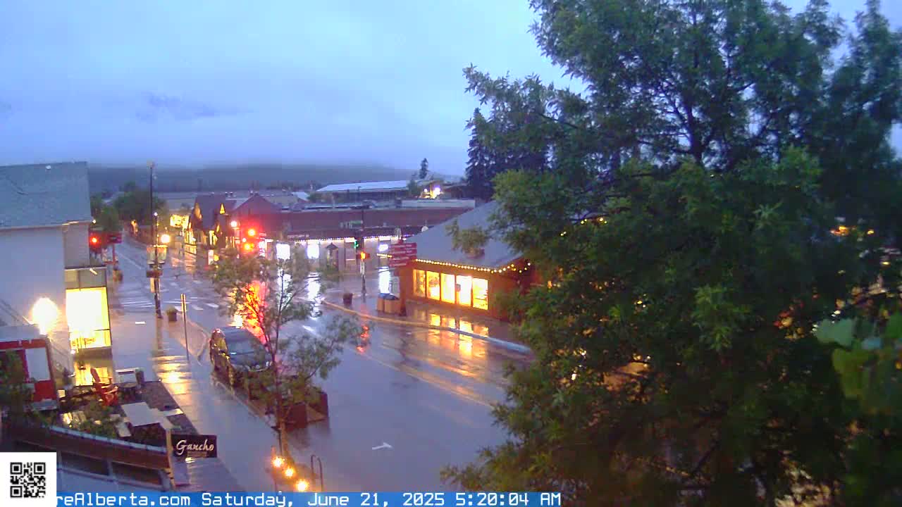 A rain-slicked street in a small town at twilight, with illuminated storefronts and vehicles, partially obscured by leafy trees.