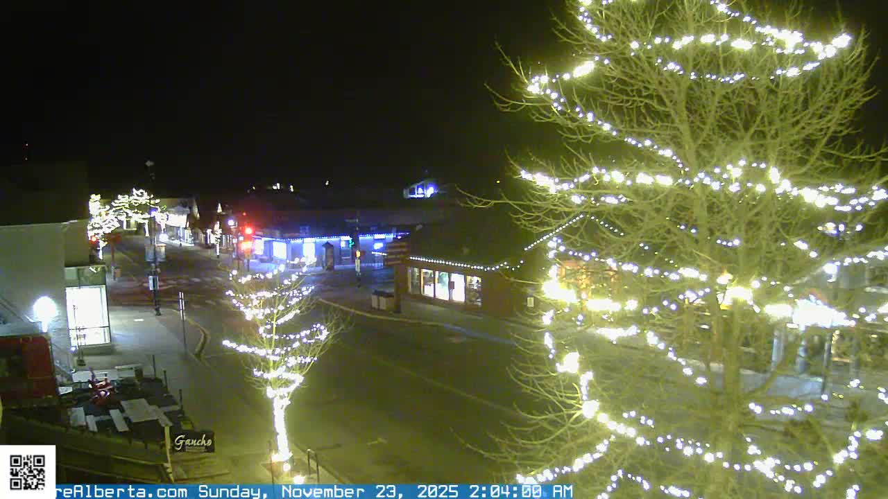 A clear night reveals a festive town street lined with bare trees and buildings brightly illuminated by countless white and blue string lights.