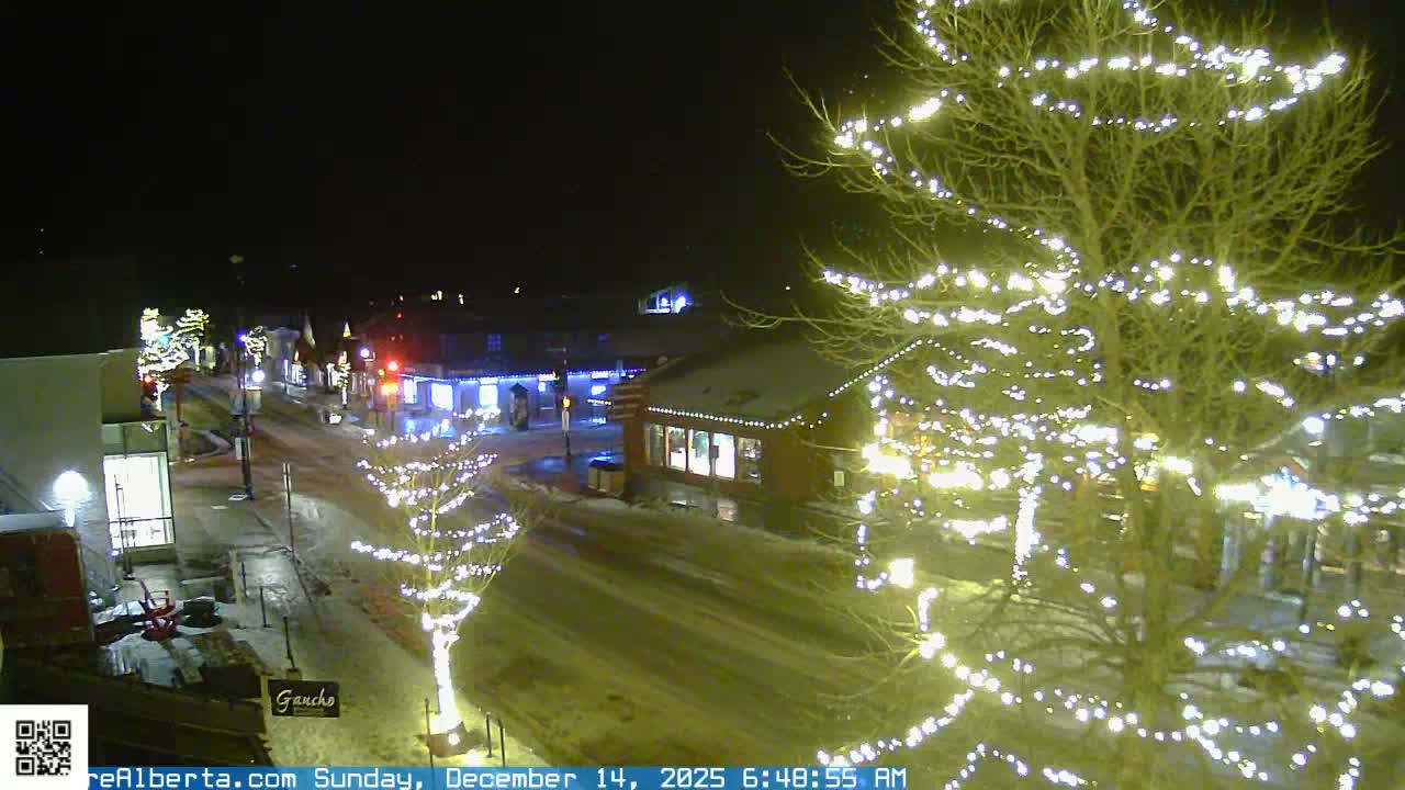 A snowy street scene at night features bare trees and buildings festively adorned with numerous white lights under a clear, cold sky.