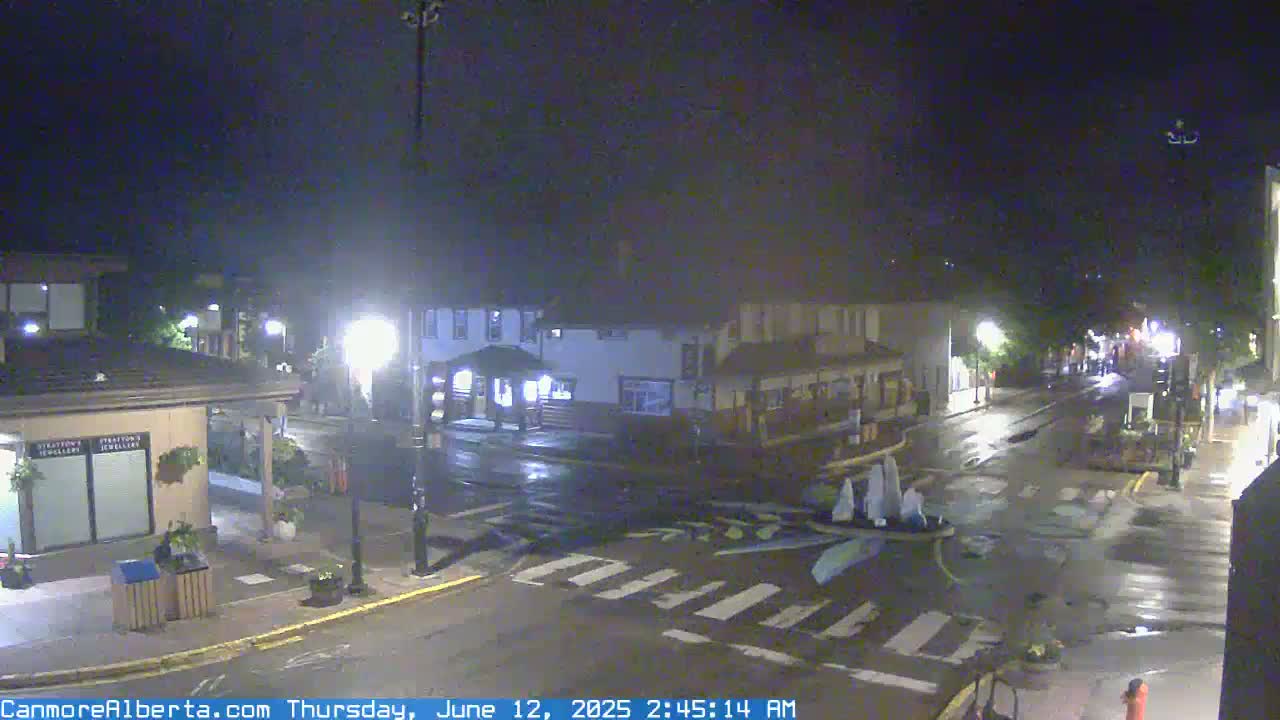 A wet, nighttime street scene shows a crosswalk and several buildings under streetlights.