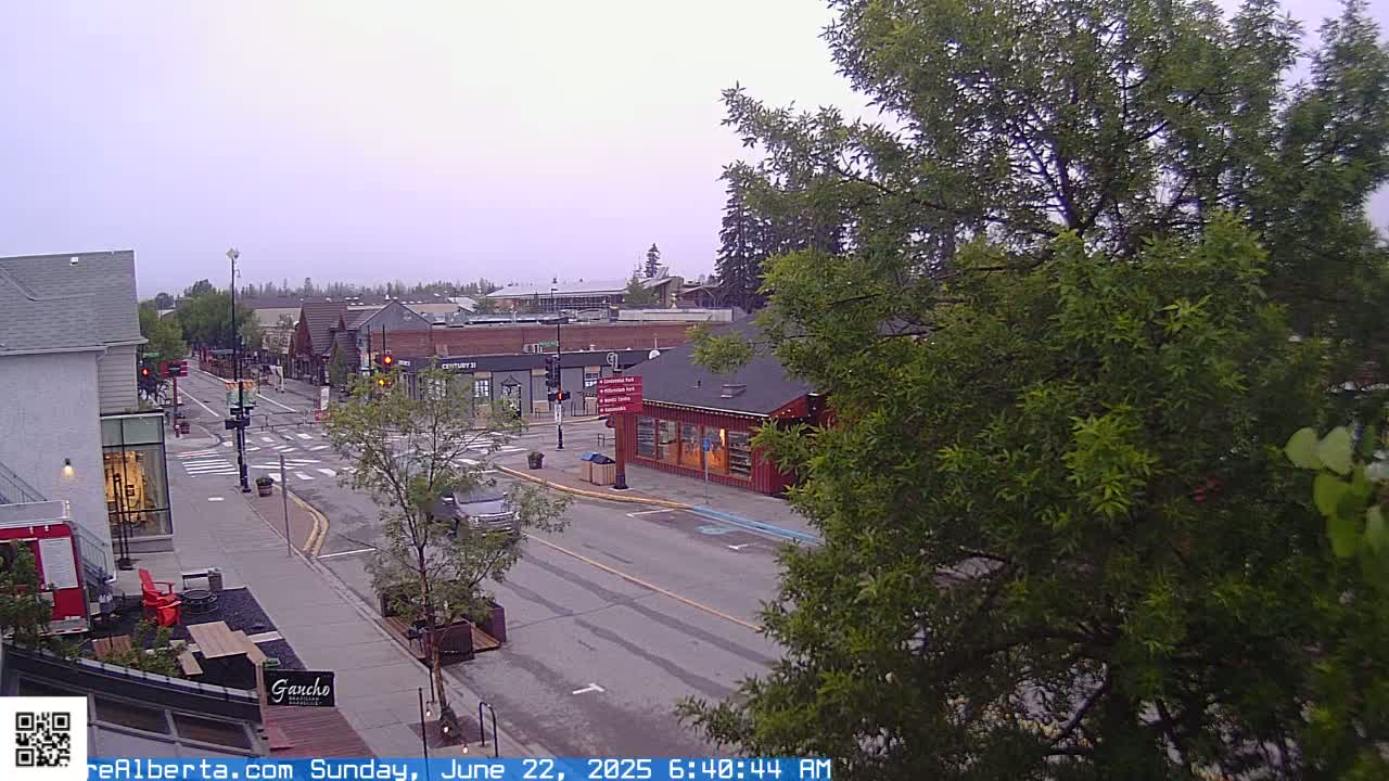 A mostly overcast view of a town's street intersection with several buildings and cars, partially obscured by a leafy tree.