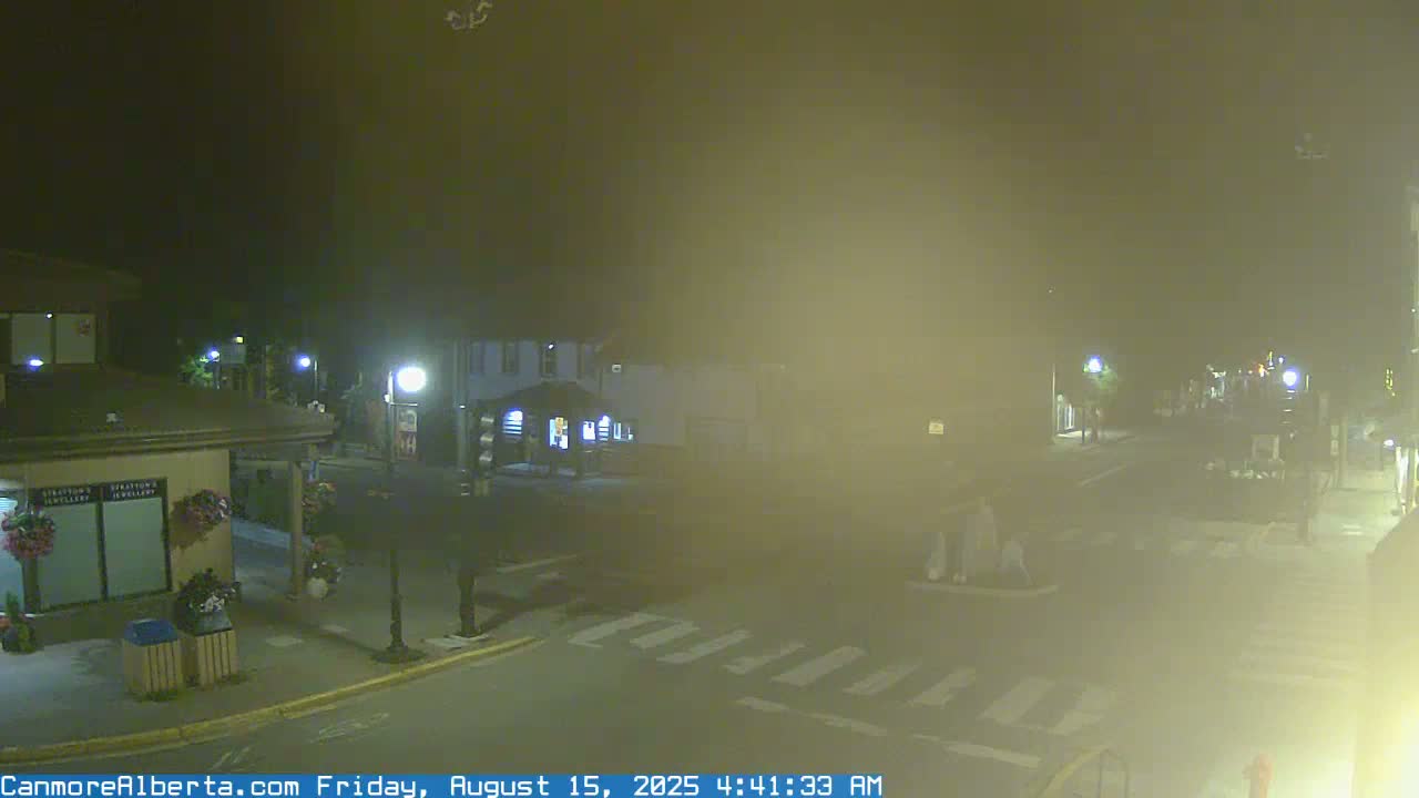 A nighttime, wet street scene shows a crosswalk, several buildings, and a few pedestrians.