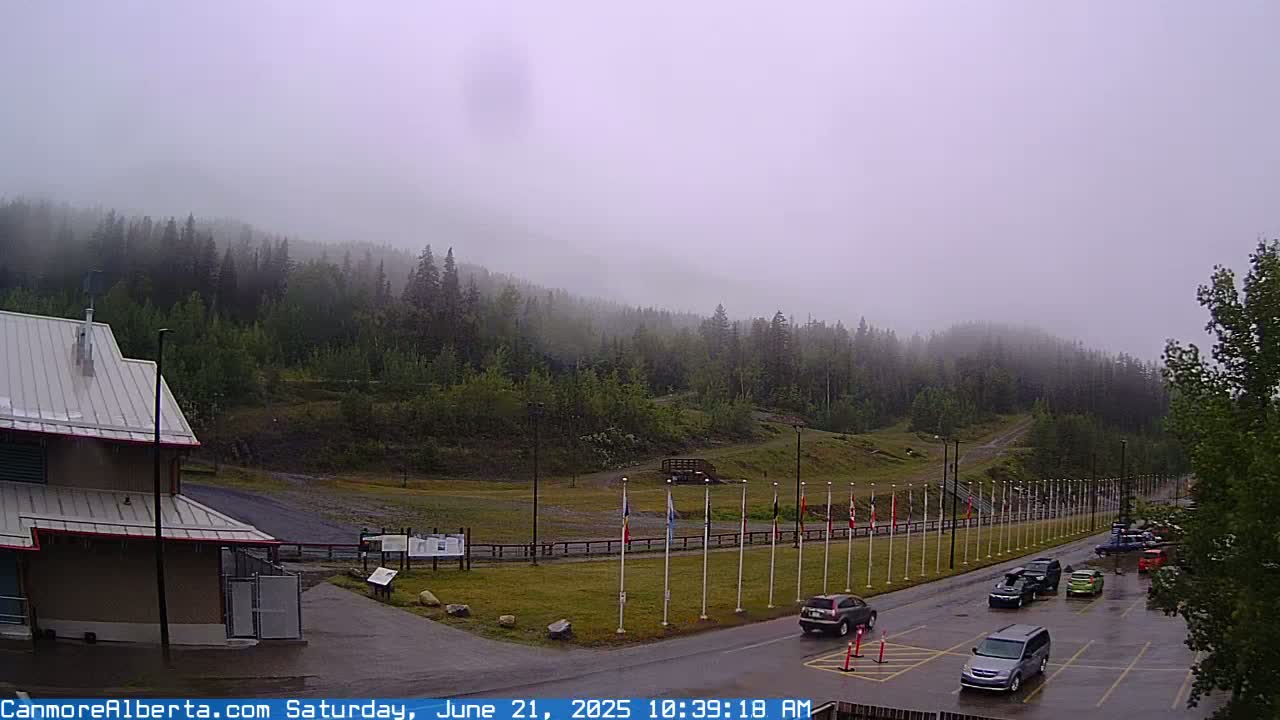 A foggy day reveals a parking lot with several cars near a building and a line of flags in front of a forested hillside.