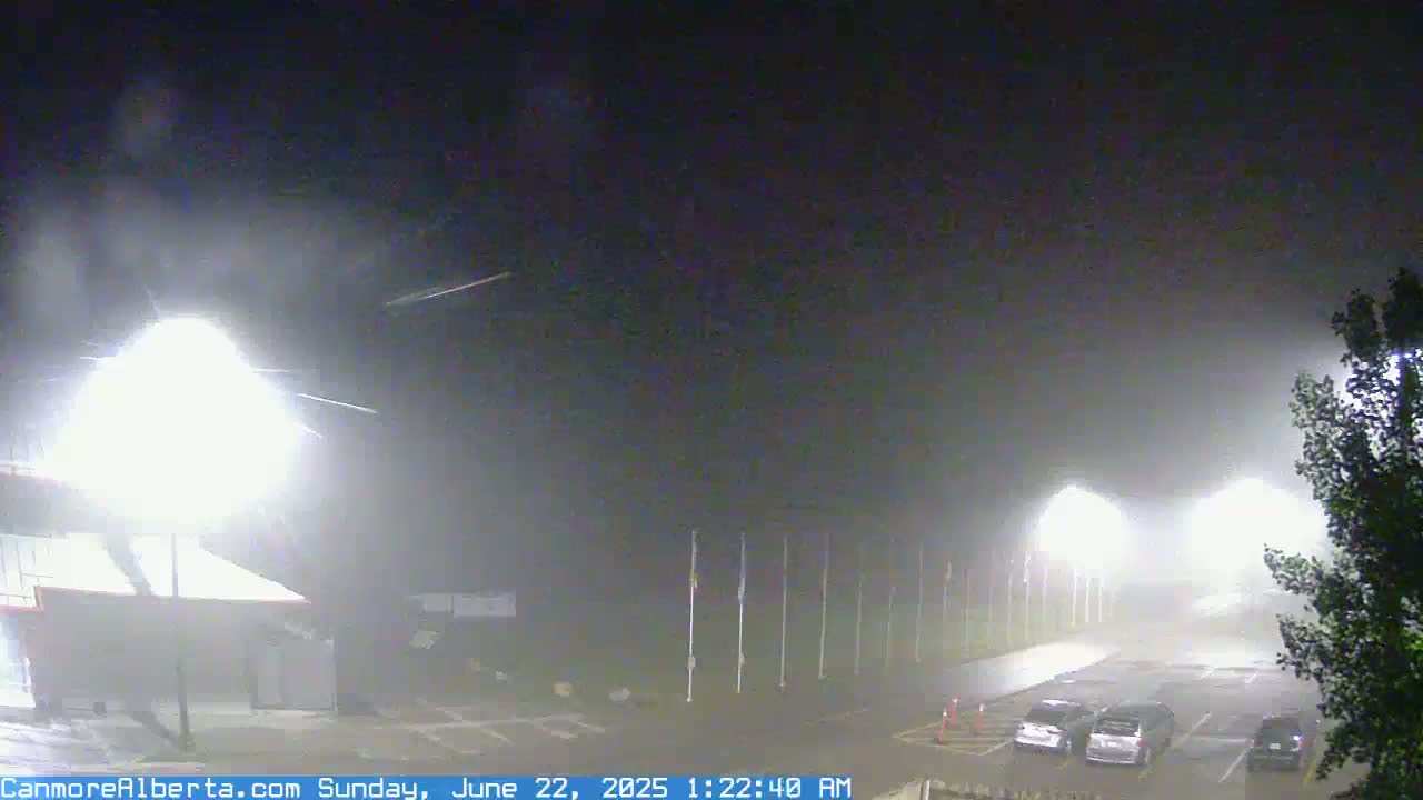 A foggy night scene shows a parking lot with a few cars, a building, and several light posts illuminating the area.