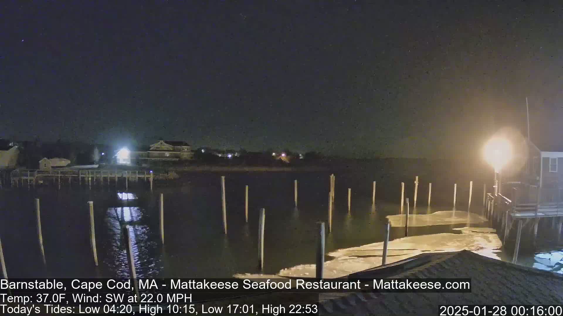 A nighttime view of a calm body of water with pilings, a shoreline with buildings, and patches of ice under a dark, clear sky.