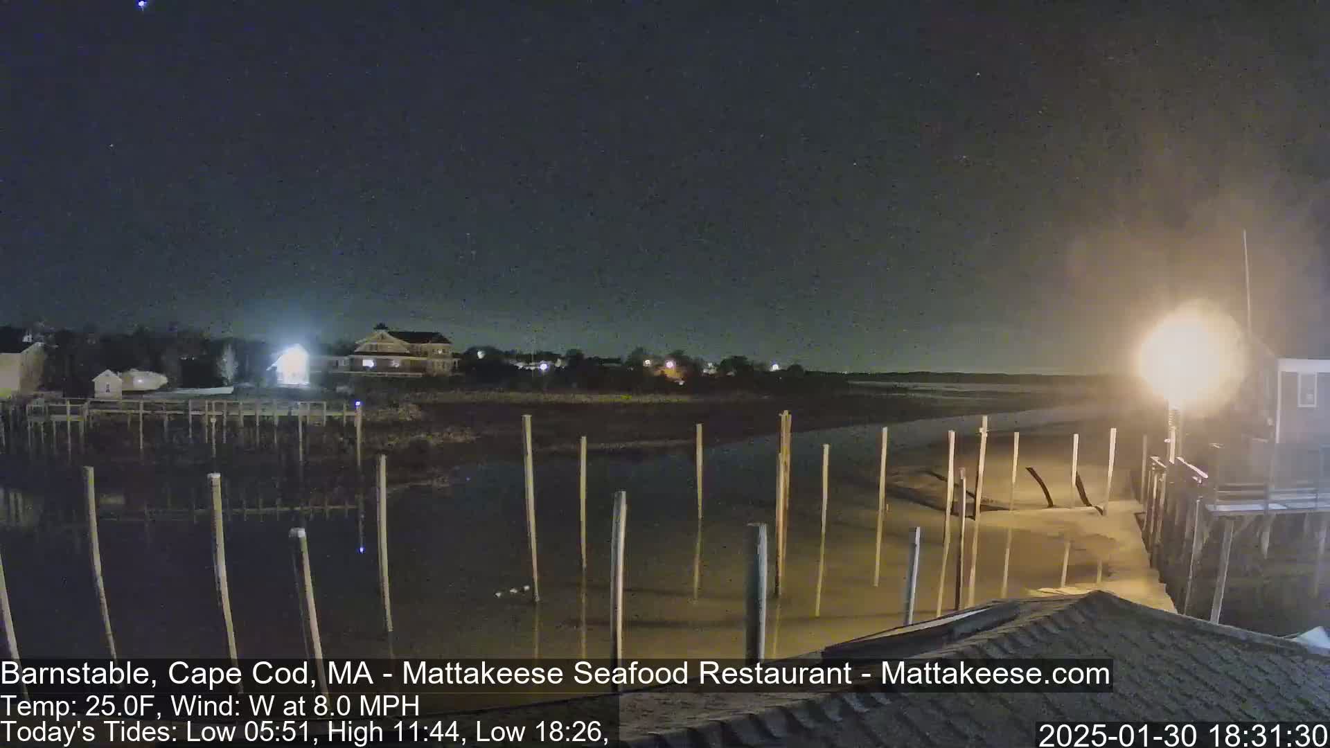 A nighttime view of a calm body of water with wooden posts extending into the shallows, illuminated by a nearby light source under a clear, starry sky.
