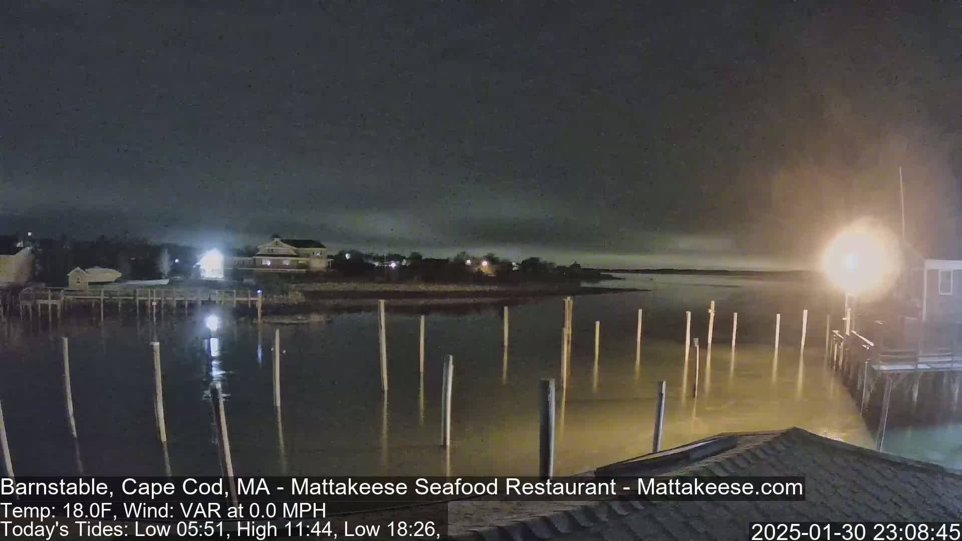 A nighttime view of a calm body of water with wooden pilings extending into it, a shoreline with buildings, and a light source illuminating the scene.