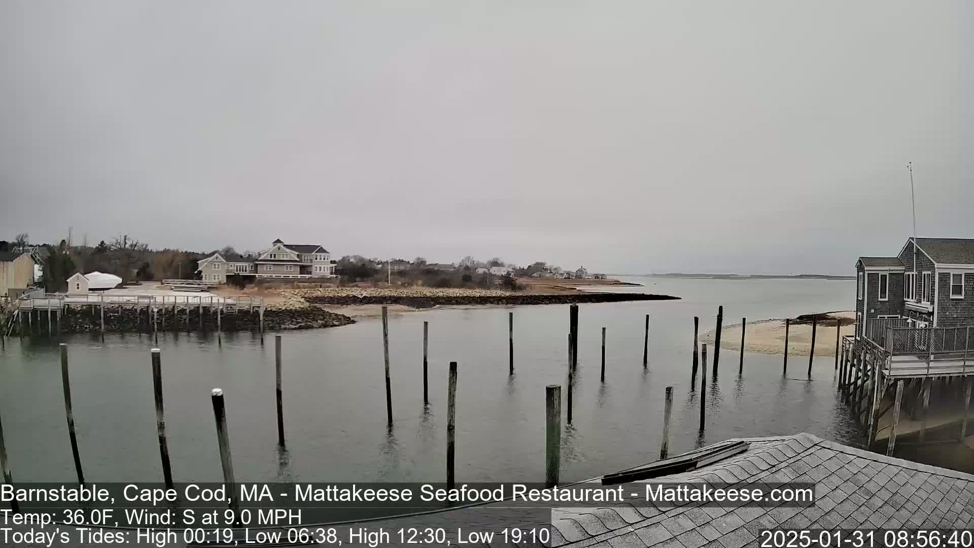 A calm body of water with wooden pilings extends from a shoreline with houses, under an overcast sky.
