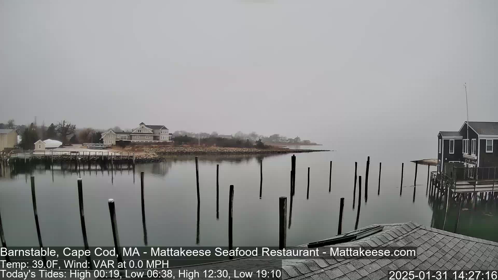 A foggy waterfront scene shows a calm body of water with several wooden pilings extending into it, alongside buildings and a shoreline with sparse vegetation.