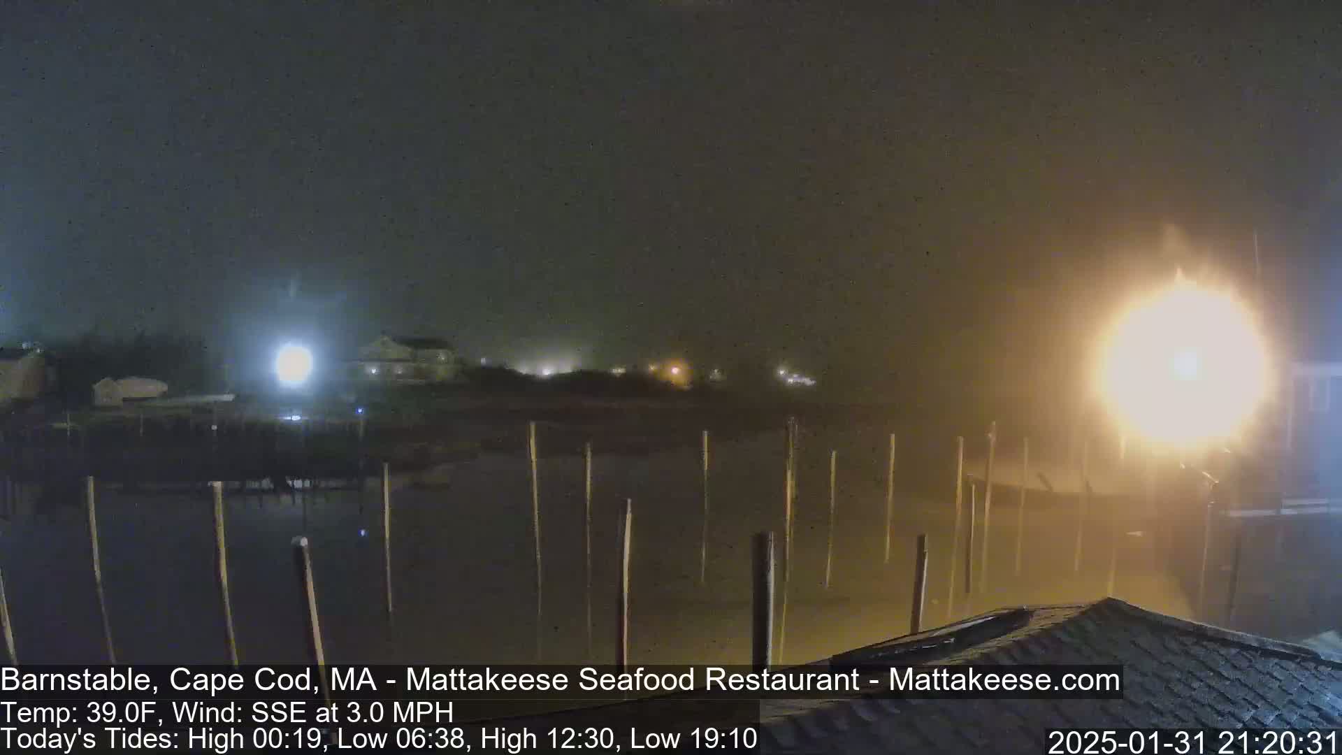 A foggy, nighttime scene shows a waterfront area with dark buildings and posts sticking out of the water under bright lights.