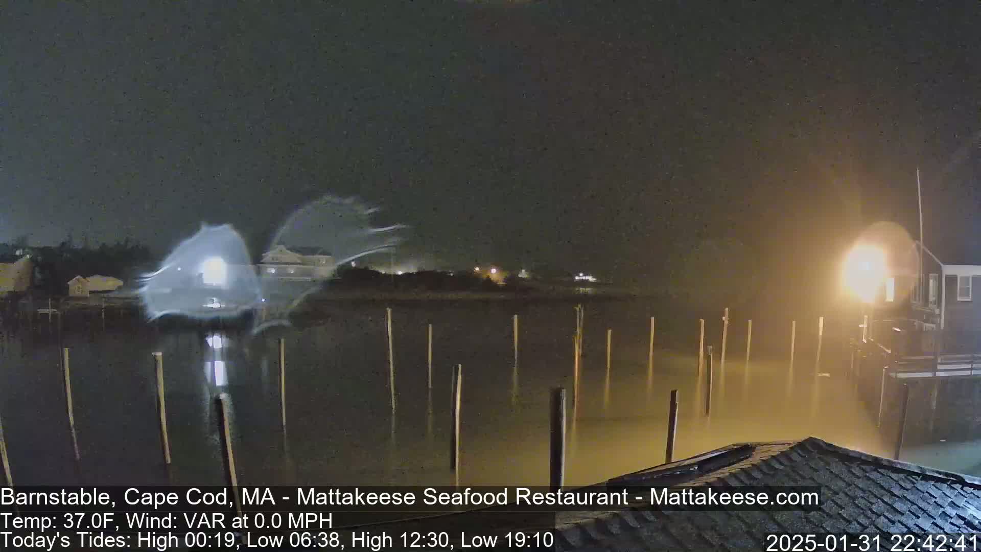 A nighttime view of a calm body of water with wooden pilings, illuminated by lights from nearby buildings, under foggy conditions.