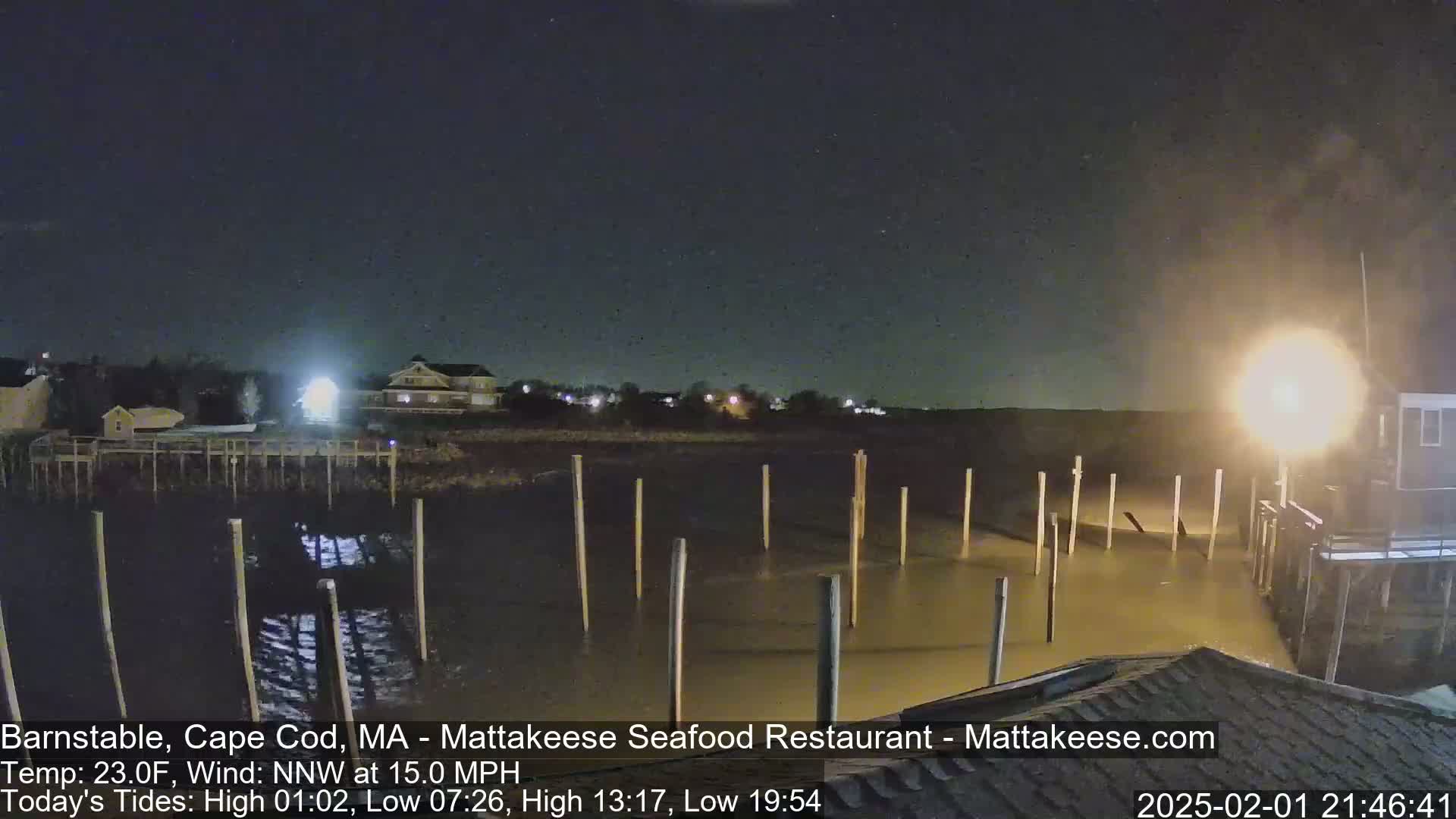 A nighttime view of a calm body of water with wooden pilings, illuminated by a bright light source, and buildings visible in the background under a clear, starry sky.