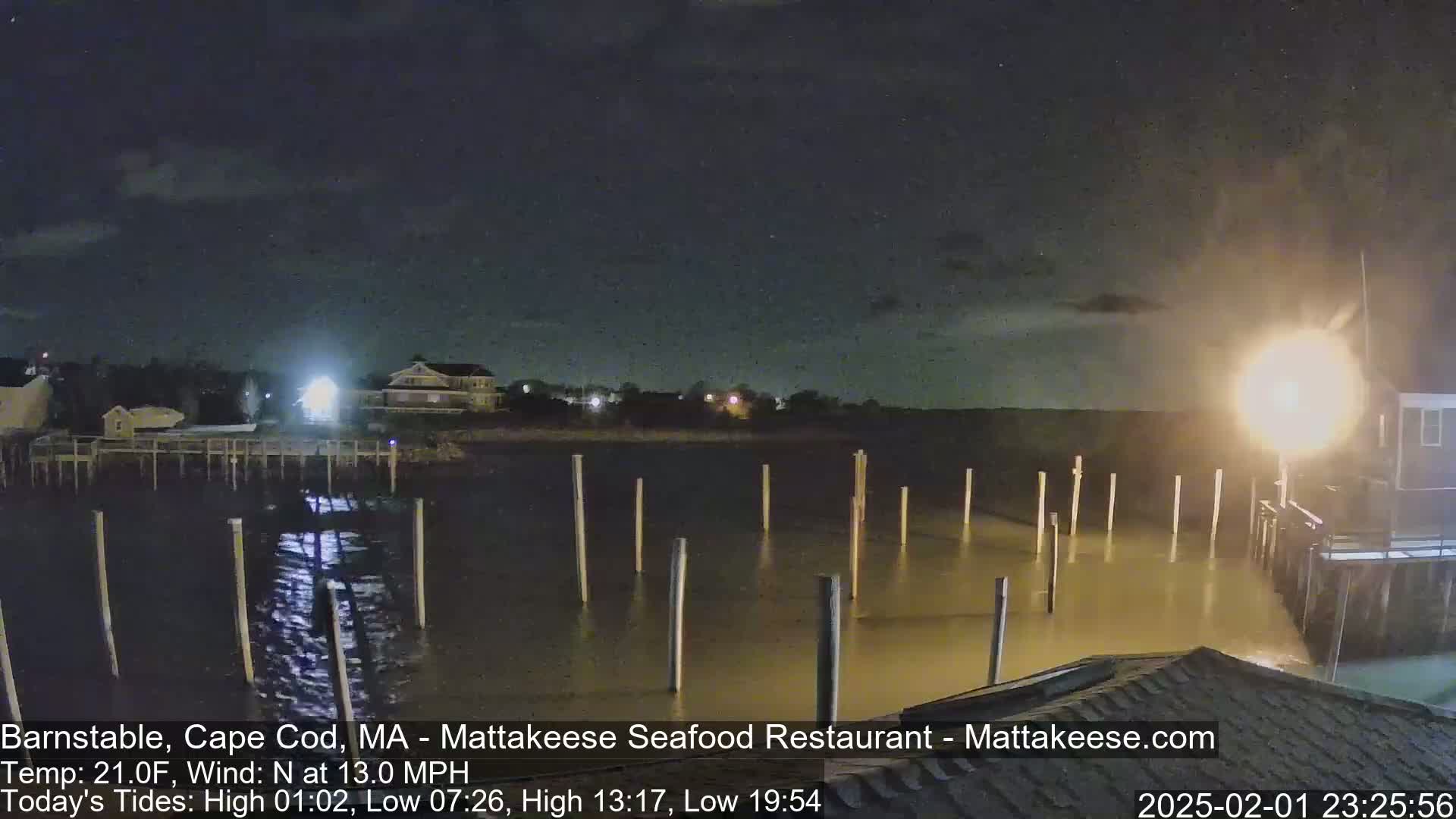A nighttime view of a calm body of water with numerous pilings extending from a dock, under a clear, dark sky.