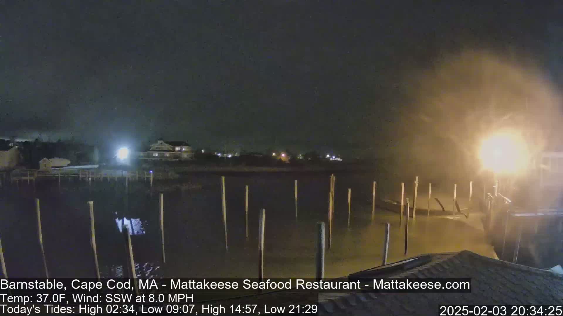 A nighttime view of a harbor with wooden pilings in choppy water under a hazy sky.