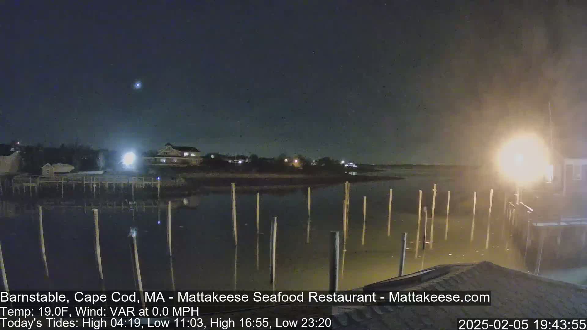 A nighttime view of a calm body of water with wooden pilings extending from the shore, under a dark, clear sky with a few visible stars.