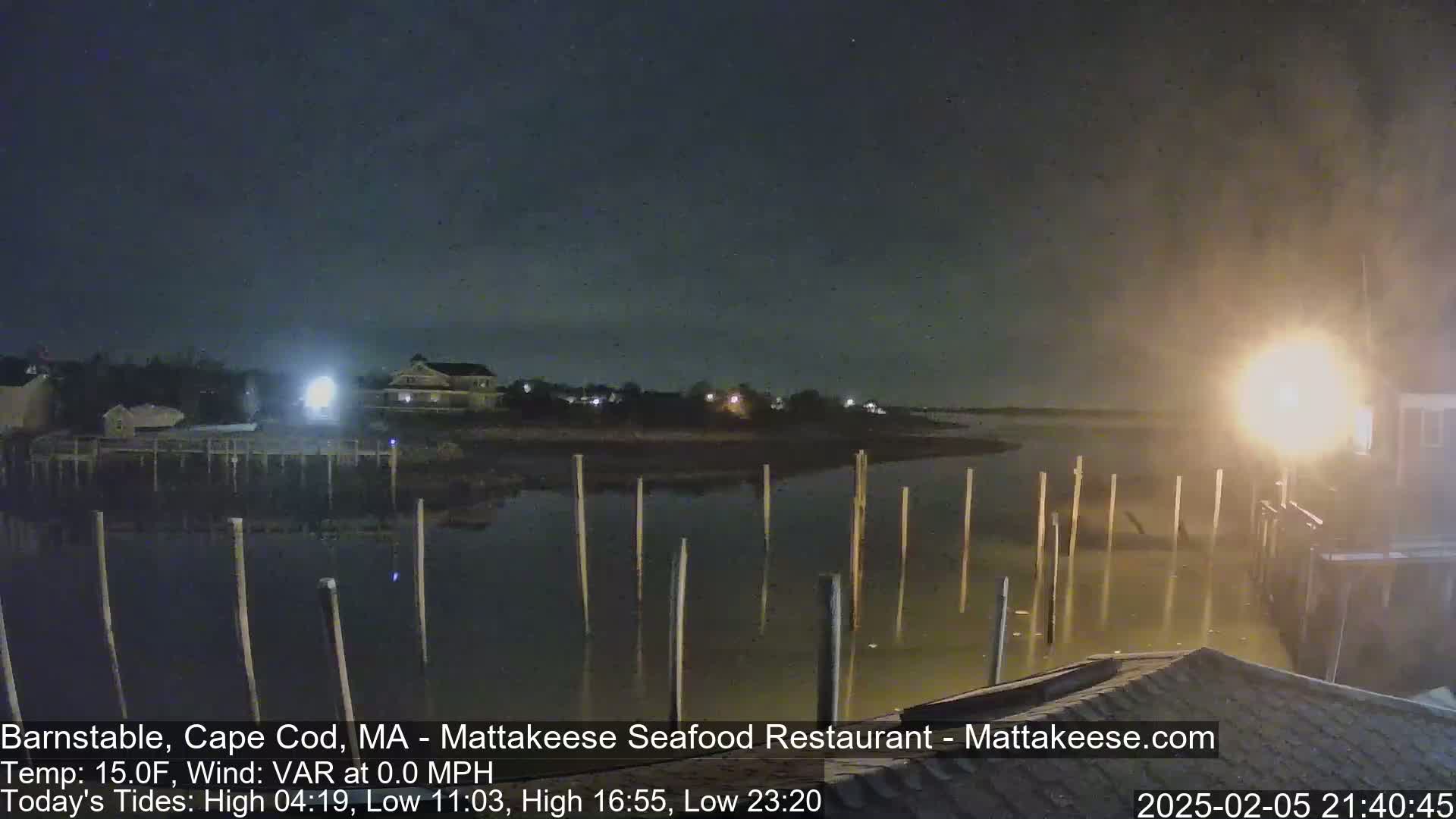 A nighttime view of a calm body of water with wooden pilings extending into it, a shoreline with buildings, and a clear, dark sky.