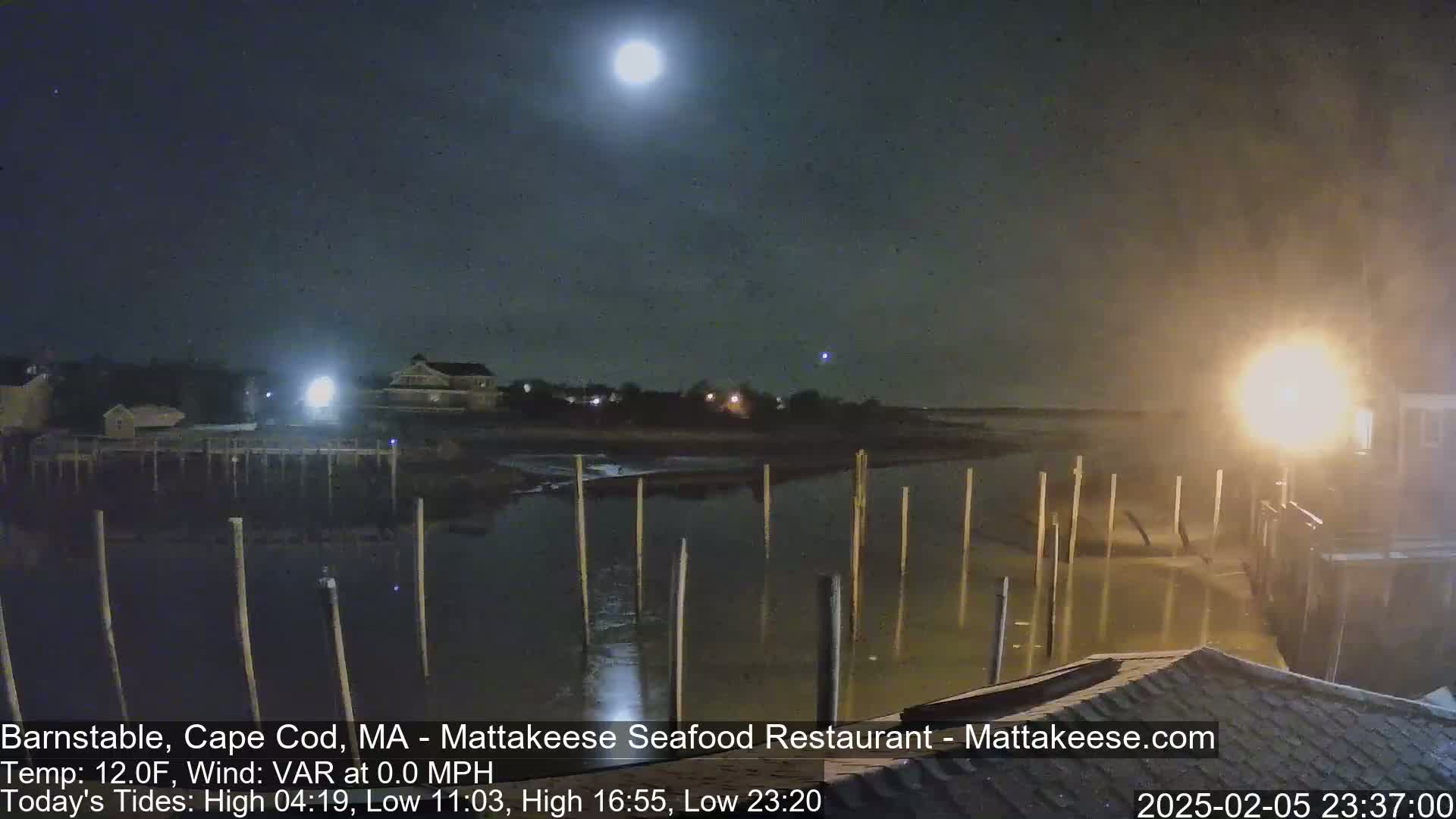 A nighttime scene shows a calm body of water with wooden posts extending into it, under a bright full moon.