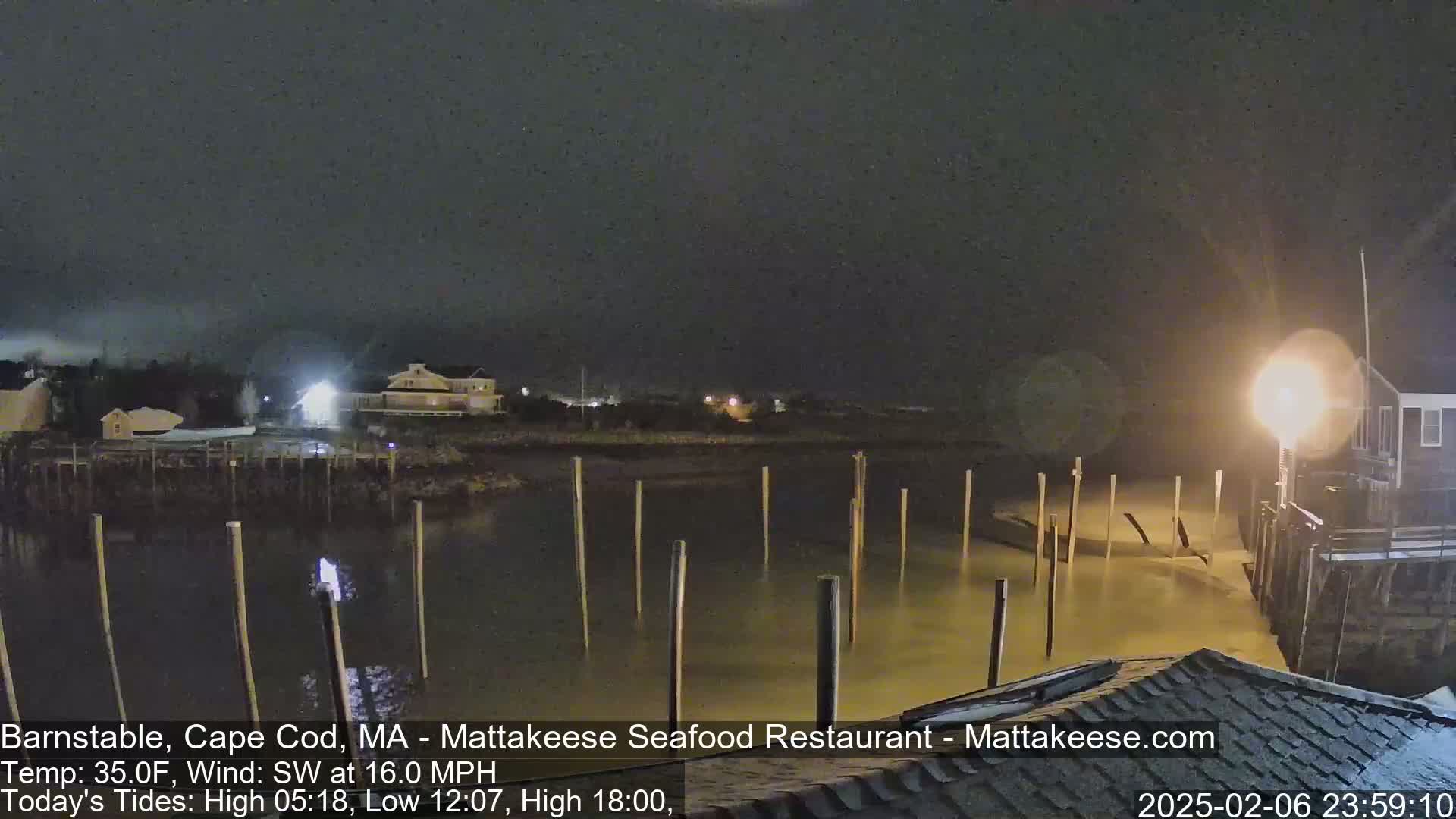 A nighttime view of a calm body of water with wooden pilings, illuminated by a nearby light, under a dark, overcast sky.