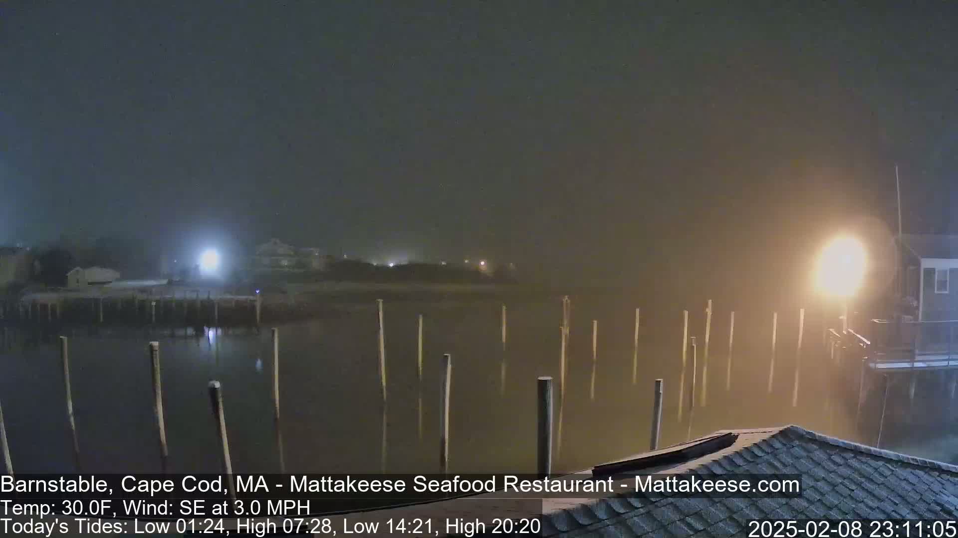 A nighttime view of a foggy harbor with numerous pilings in the water, illuminated by several lights on shore.