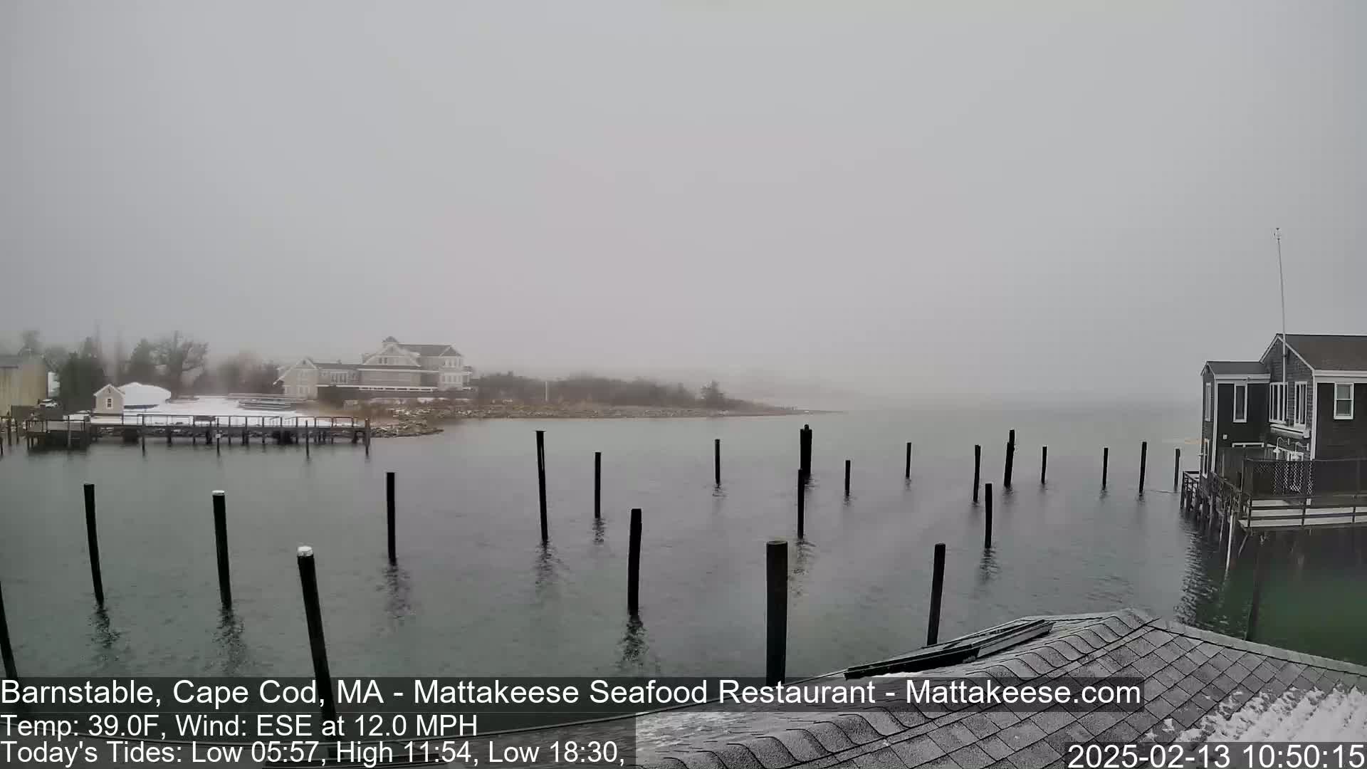 A foggy, snowy scene shows a calm body of water with wooden pilings, a snow-covered dock, and buildings in the distance.