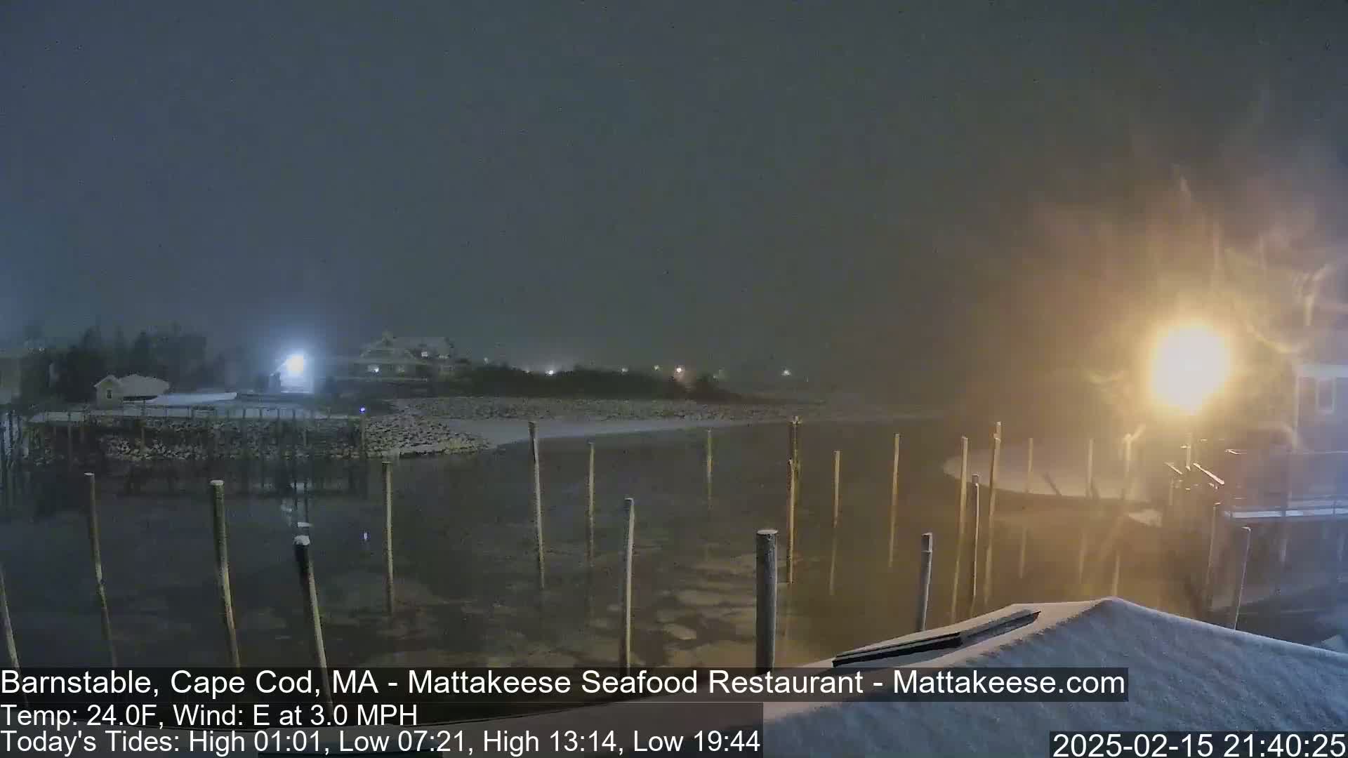 A snow-covered waterfront scene at night shows a calm body of water with wooden posts extending from the shore, under a lightly falling snow.