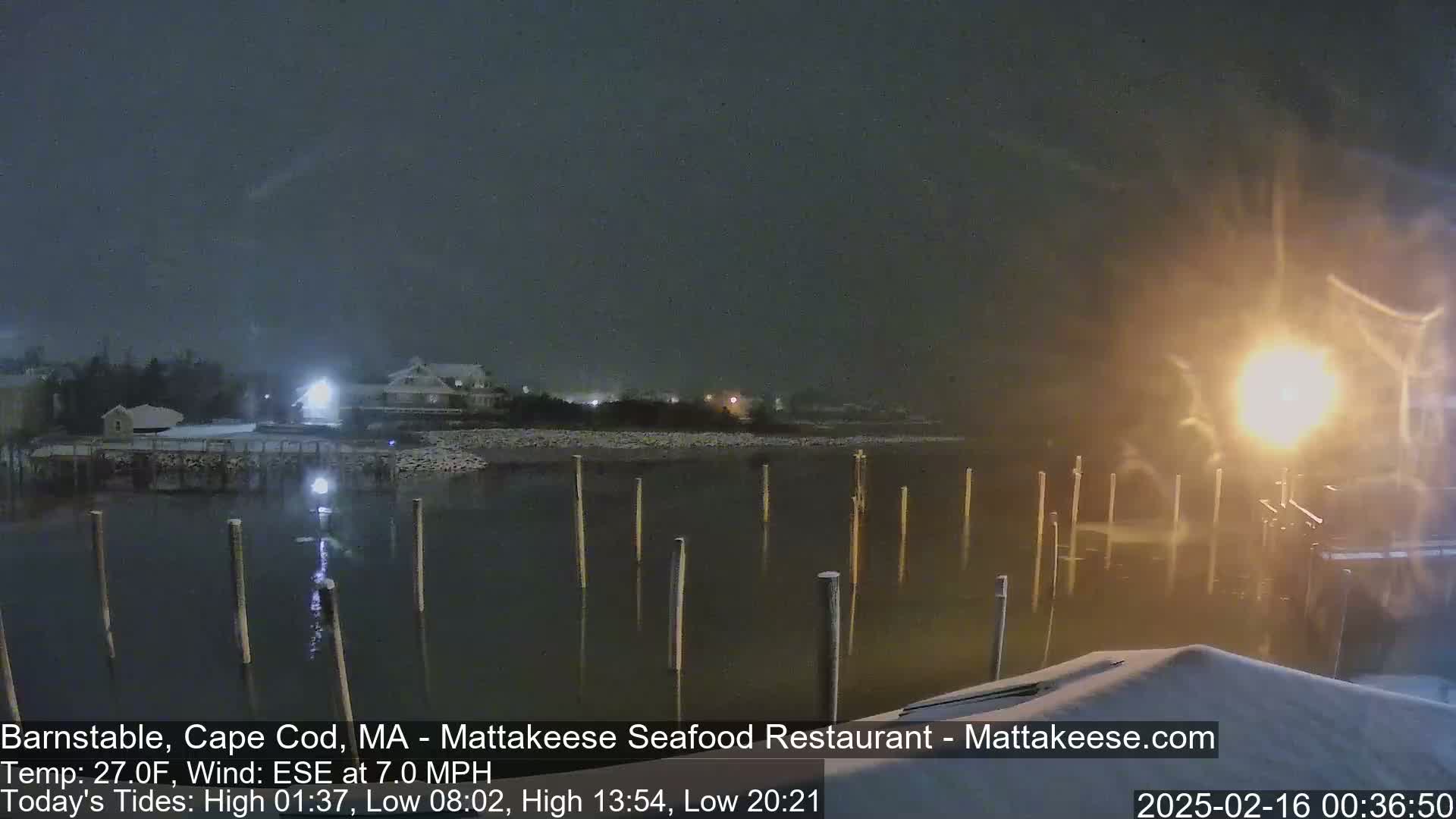 A snow-covered waterfront scene at night shows a calm body of water with wooden pilings,  buildings in the distance, and a bright light shining through the falling snow.