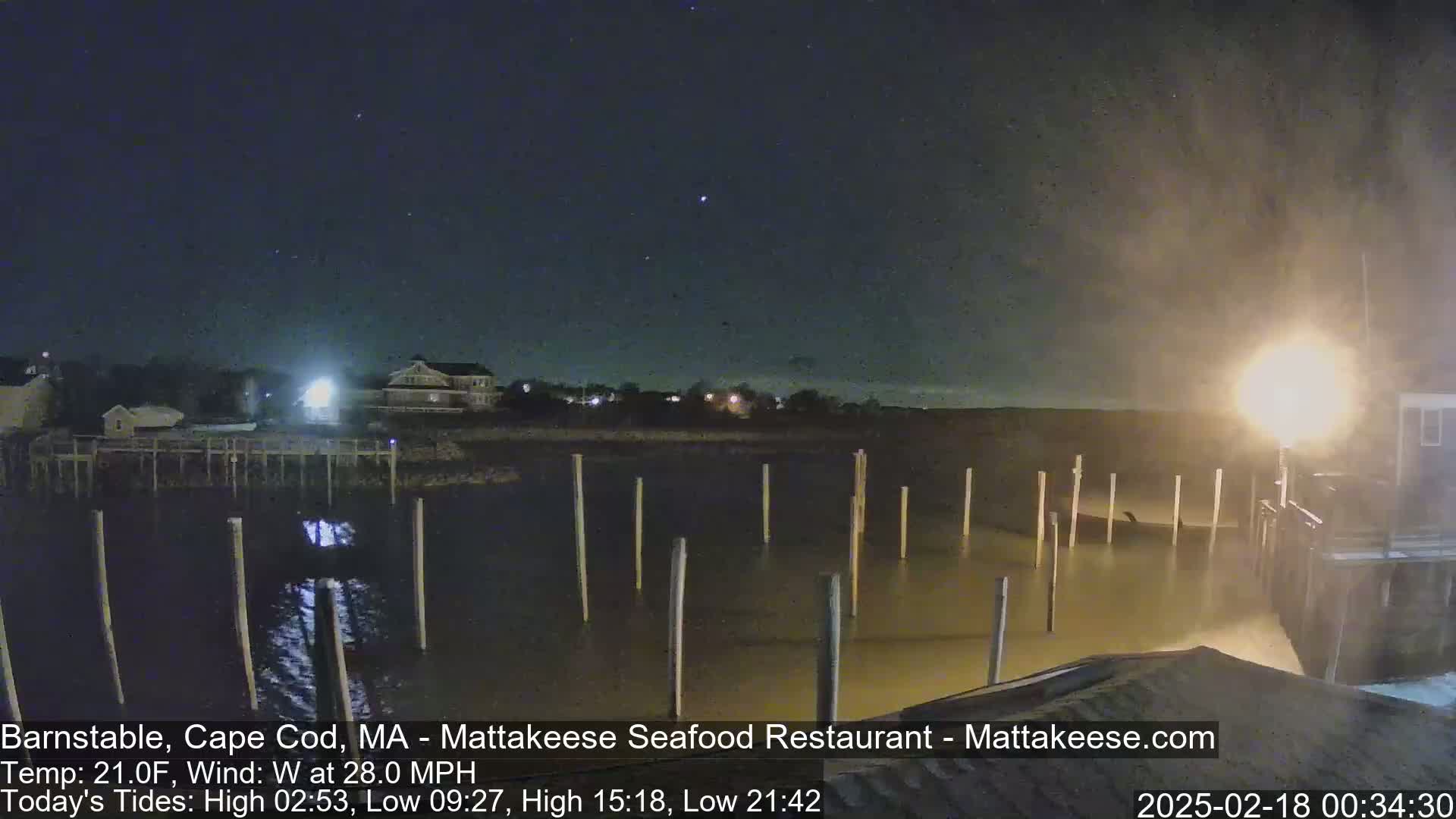 A nighttime view of a calm body of water with pilings, illuminated by a nearby light, under a clear, starry sky.