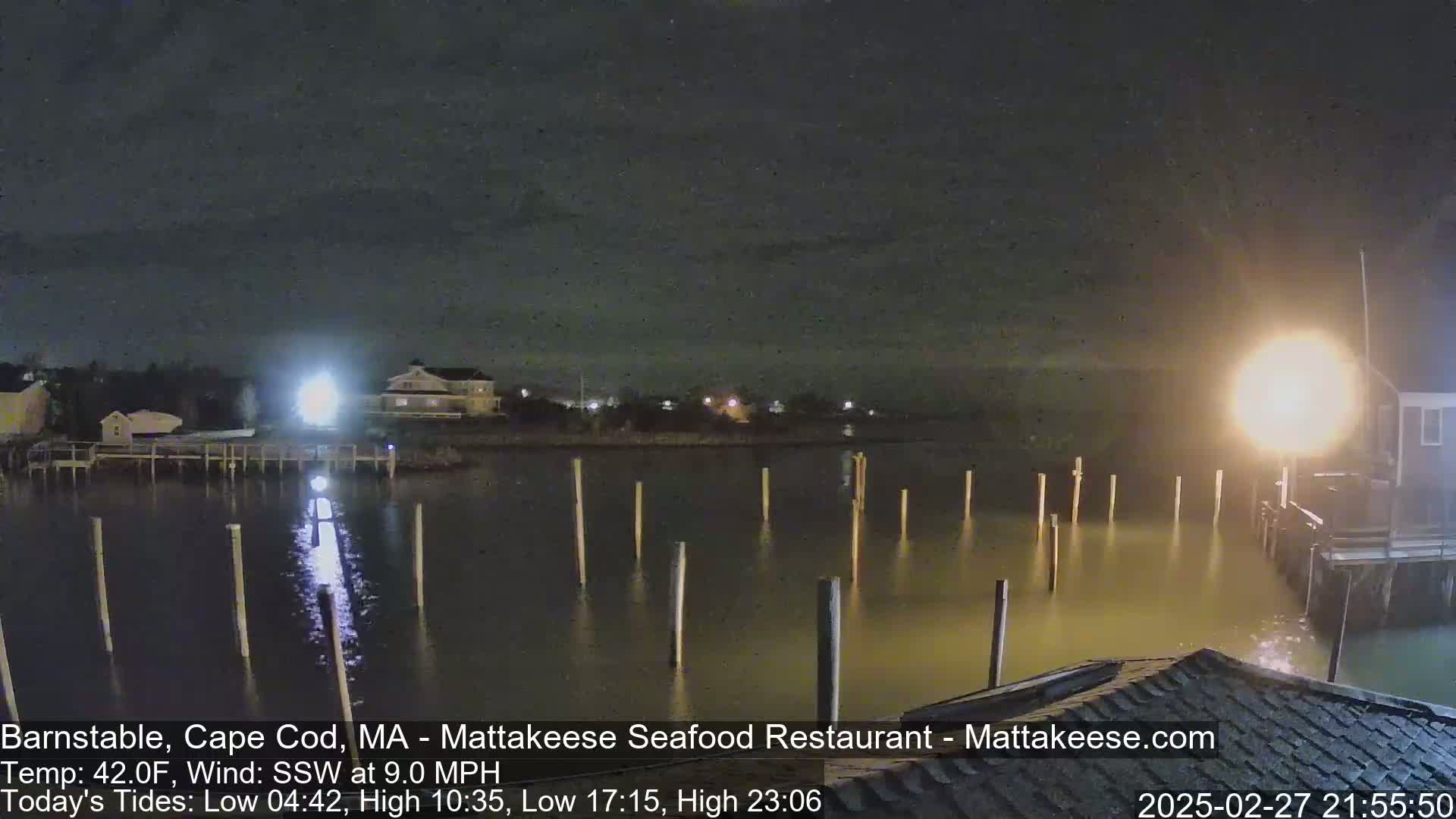 A nighttime view of a calm body of water with pilings extending from a dock, illuminated by lights from nearby buildings under a dark, cloudy sky.
