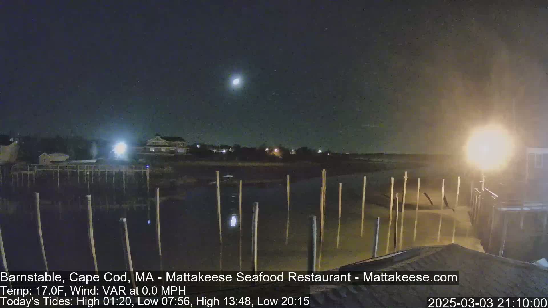 A nighttime view of a calm body of water with wooden pilings, a distant shoreline with buildings, and a bright moon in the sky.