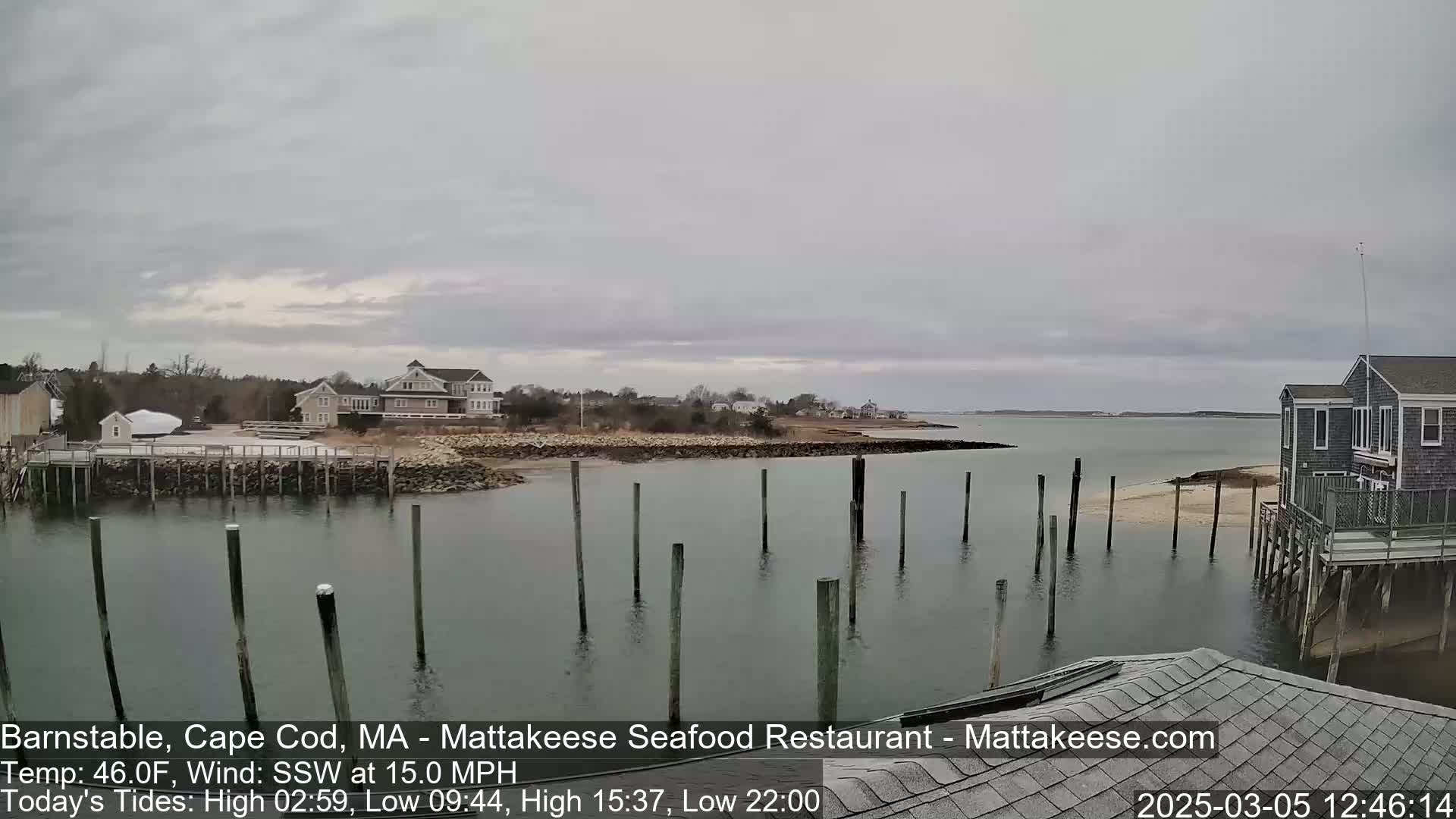 A calm body of water with numerous pilings, houses on the shore, and an overcast sky.