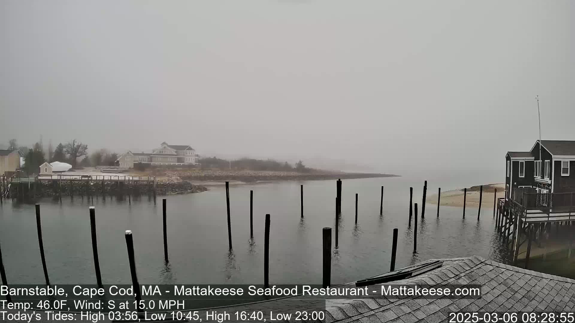 A foggy view of a calm body of water with wooden pilings, houses, and a shoreline in the distance.
