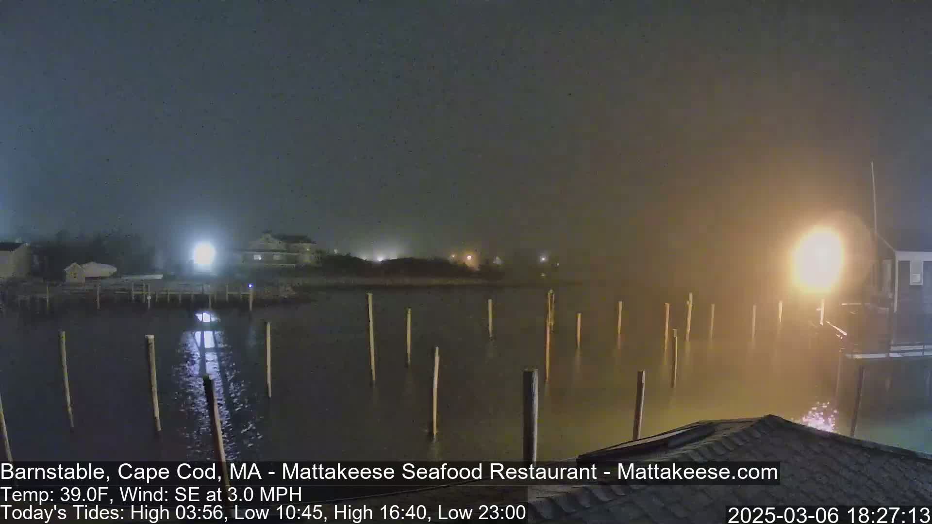 A foggy nighttime scene shows a calm body of water with wooden posts extending from a dock into the water, under a hazy, dimly lit sky.