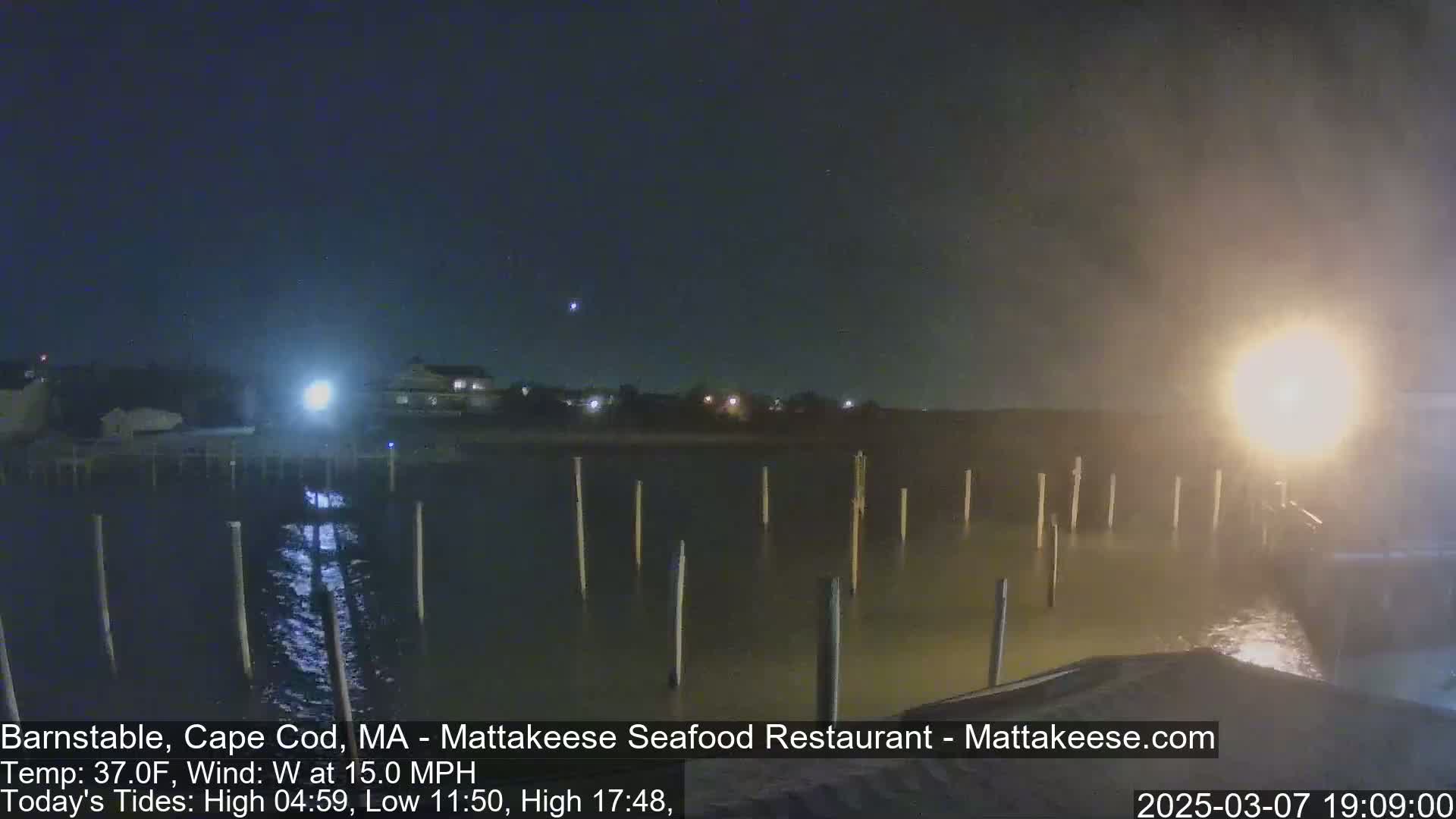 A nighttime view of a calm body of water with several posts extending from the water's edge, under a hazy sky with a bright light source in the distance.