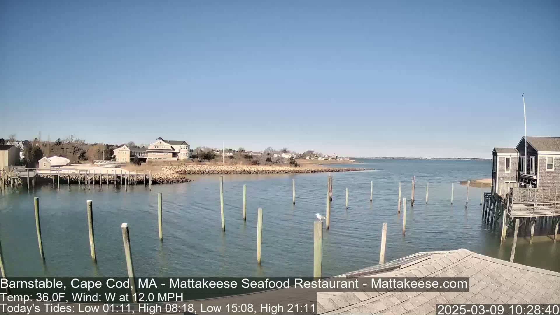 A seaside town with calm water, wooden pilings, and a few buildings is visible under a clear blue sky.