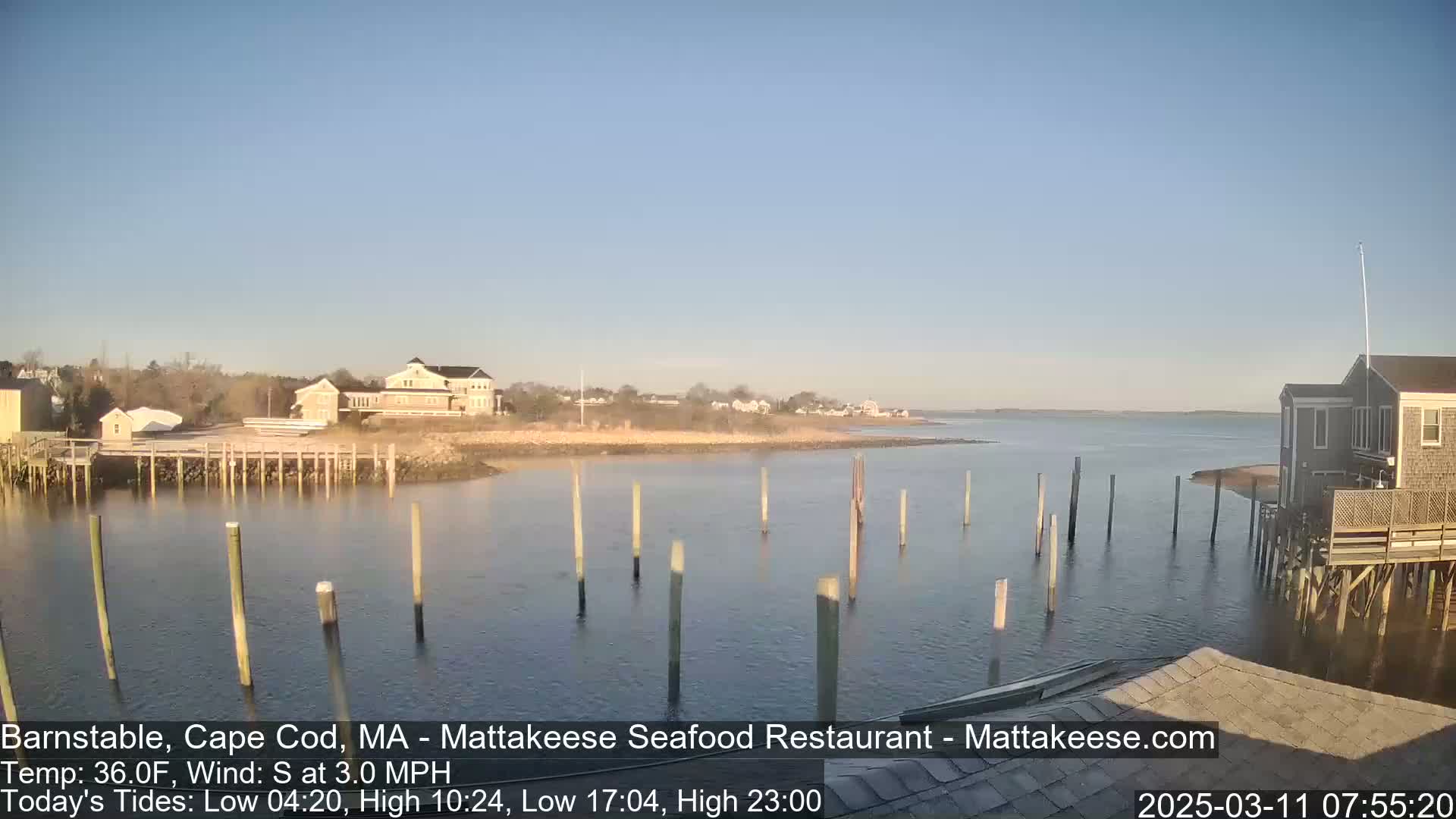 A calm body of water with several pilings sticking out of it,  houses and buildings on the shore, under a clear blue sky.