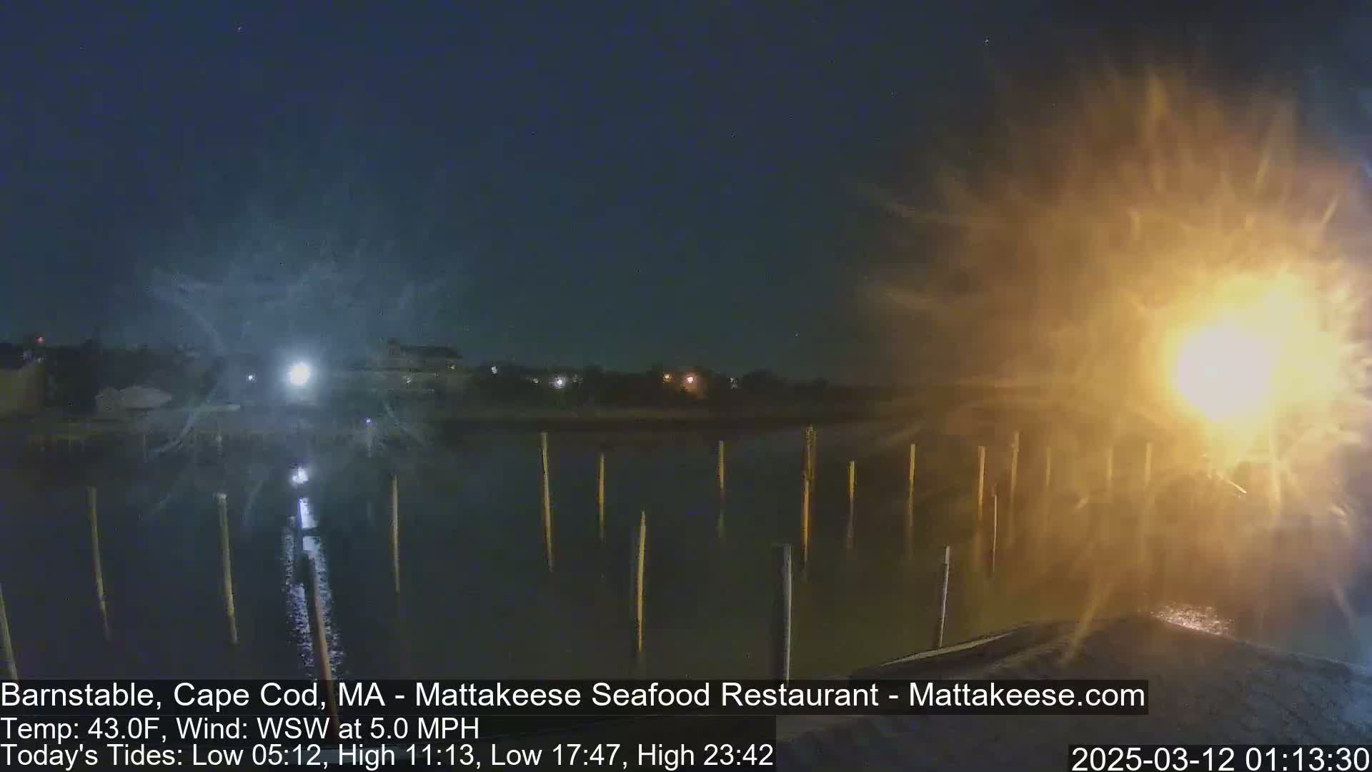 A nighttime view of a calm body of water with wooden posts extending from the shore, illuminated by nearby lights under a dark sky.