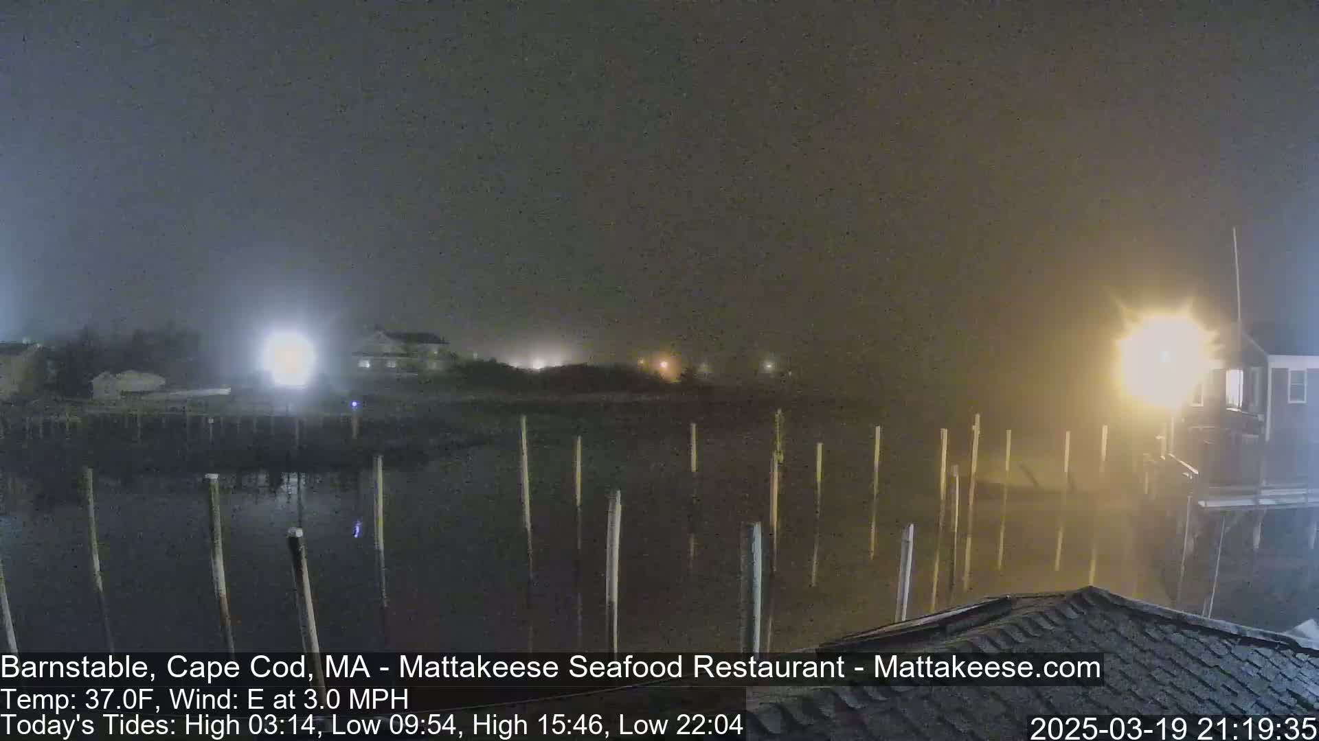 A foggy night scene shows a dark body of water with several posts extending from the shore, buildings faintly visible in the background under dim lighting.