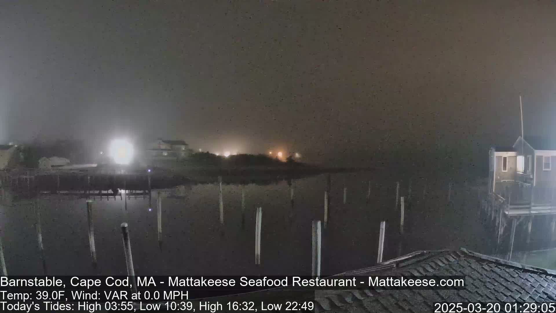 A foggy night scene shows a dark body of water with posts sticking out of it, buildings in the distance, and faint lights.