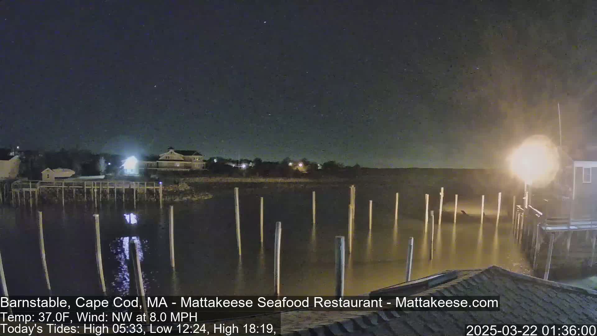 A nighttime view of a calm body of water with pilings extending from a shoreline, under a clear, starry sky.