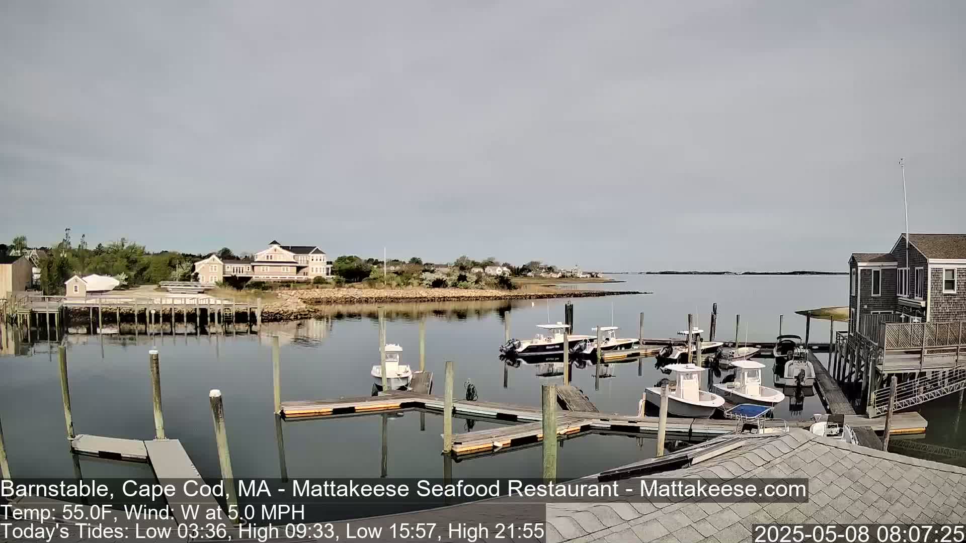 Several boats are docked at a marina near a calm body of water under an overcast sky.