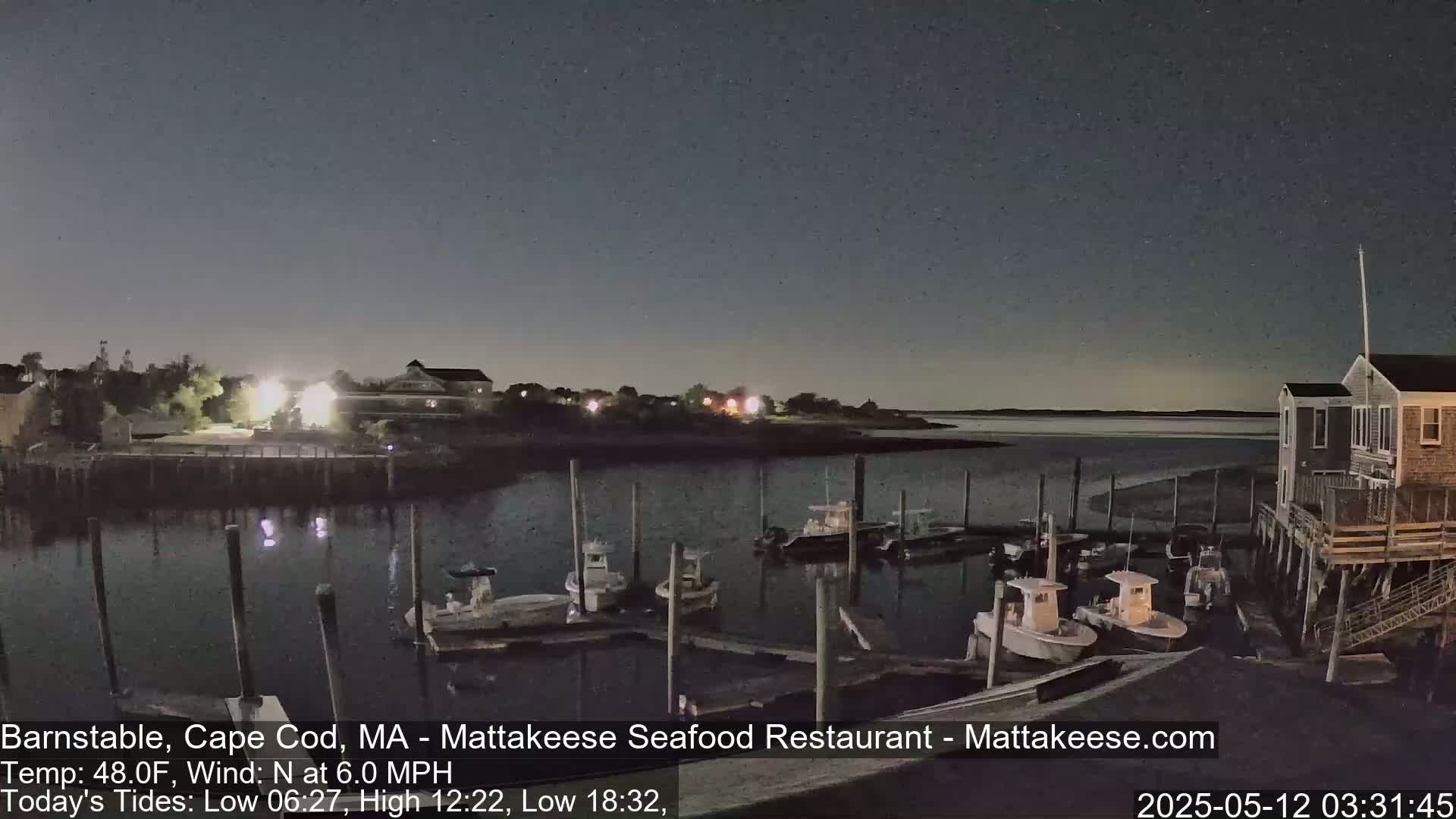 A nighttime view of a calm harbor with several boats docked, under a dark, clear sky.