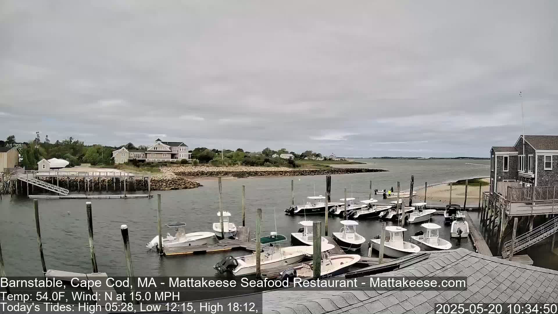A calm harbor with numerous small boats docked at a pier, under an overcast sky.