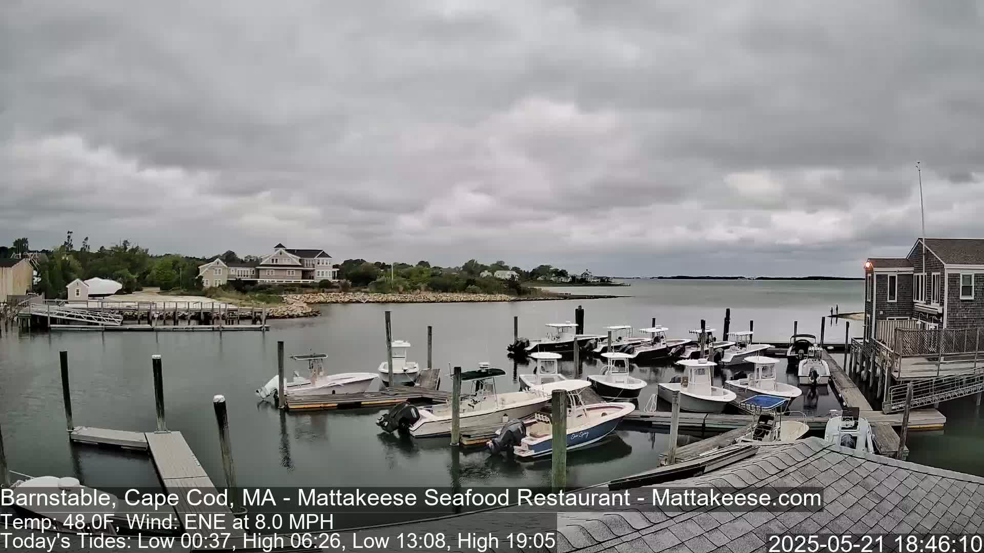 A harbor filled with numerous motorboats docked at piers under an overcast sky.