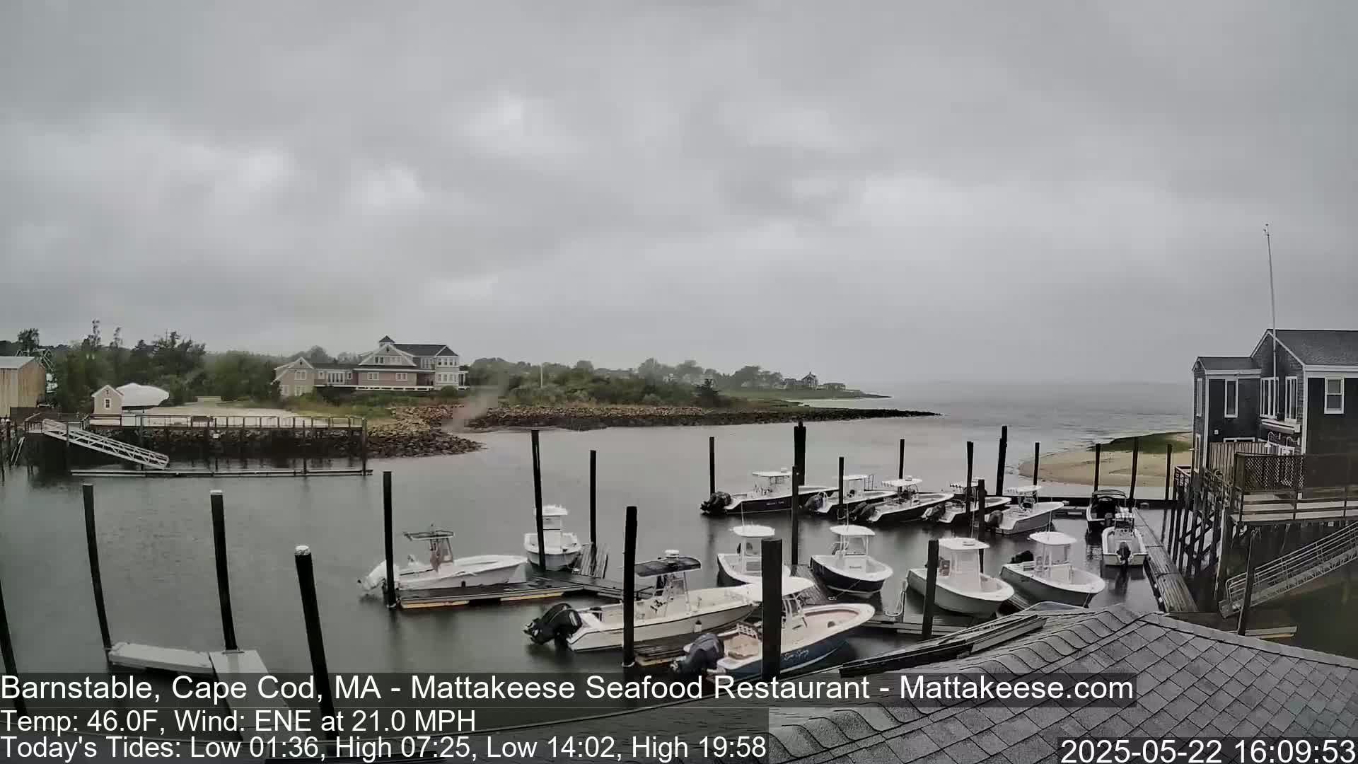 A harbor filled with numerous small motorboats under an overcast sky, with a moderate wind.