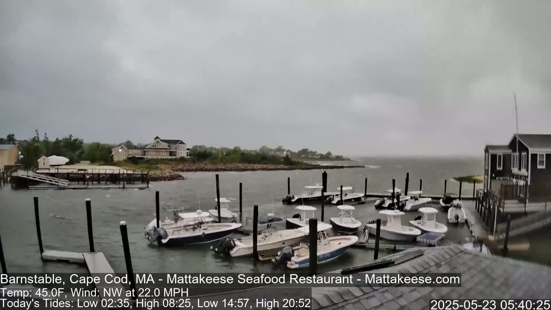 Several boats are moored at a dock in choppy water under an overcast sky.