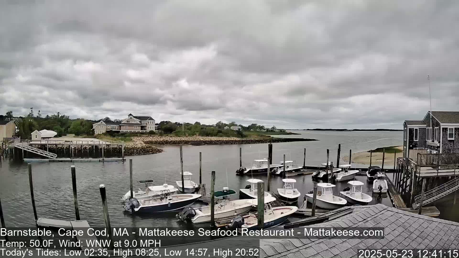 A harbor filled with numerous boats under a cloudy sky.