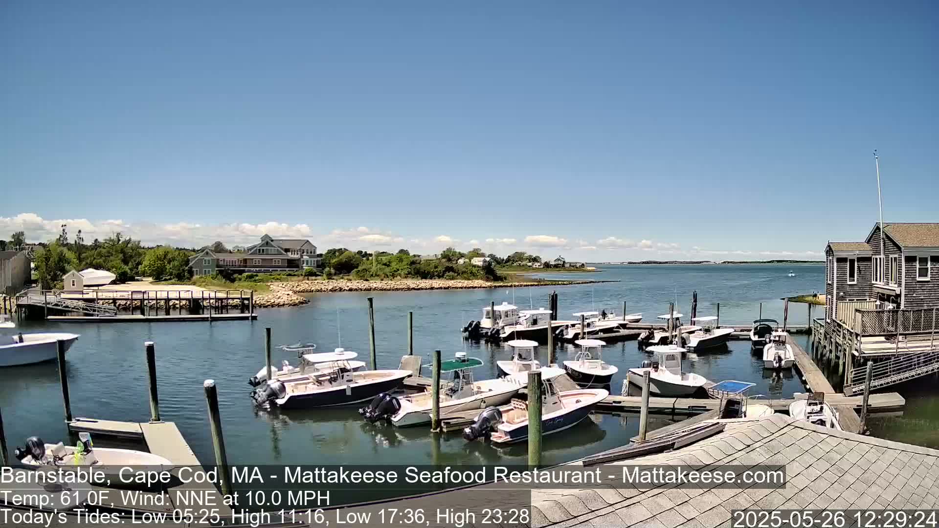 A marina filled with numerous motorboats is situated on a calm body of water under a clear, sunny sky, with houses and greenery visible in the background.