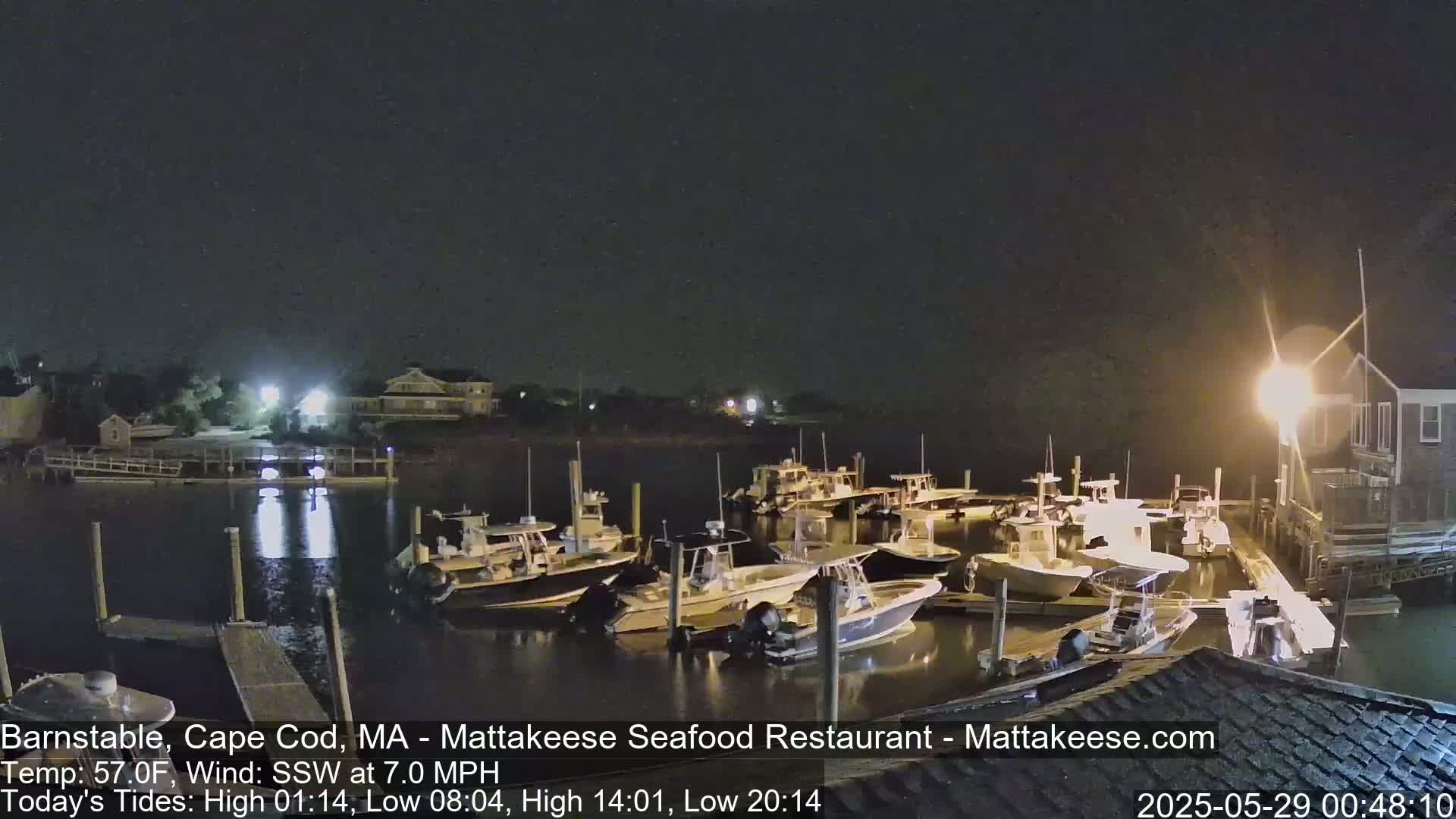 Several boats are docked at a marina at night under a clear, dark sky.