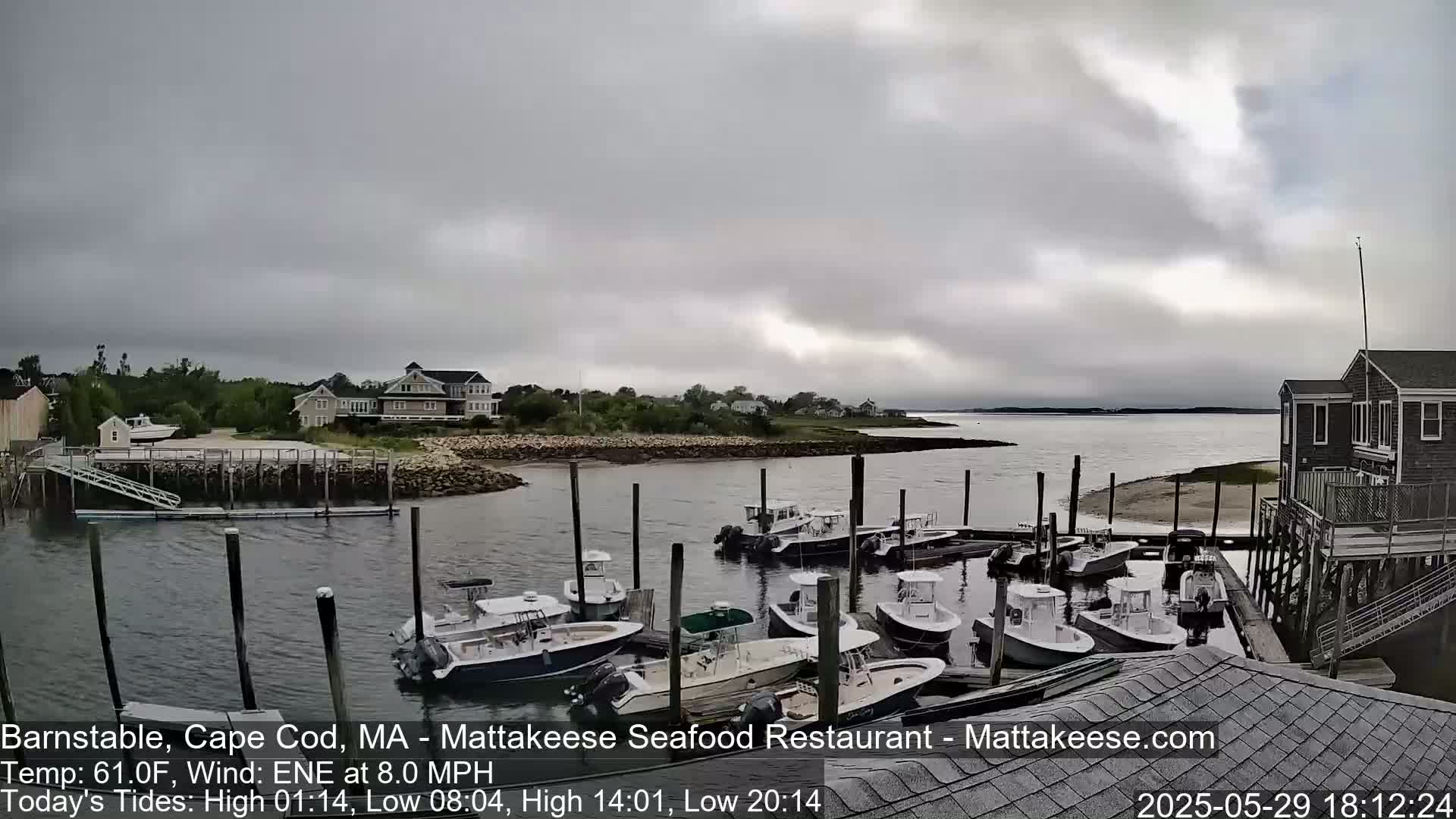 A calm harbor with numerous boats docked under an overcast sky.