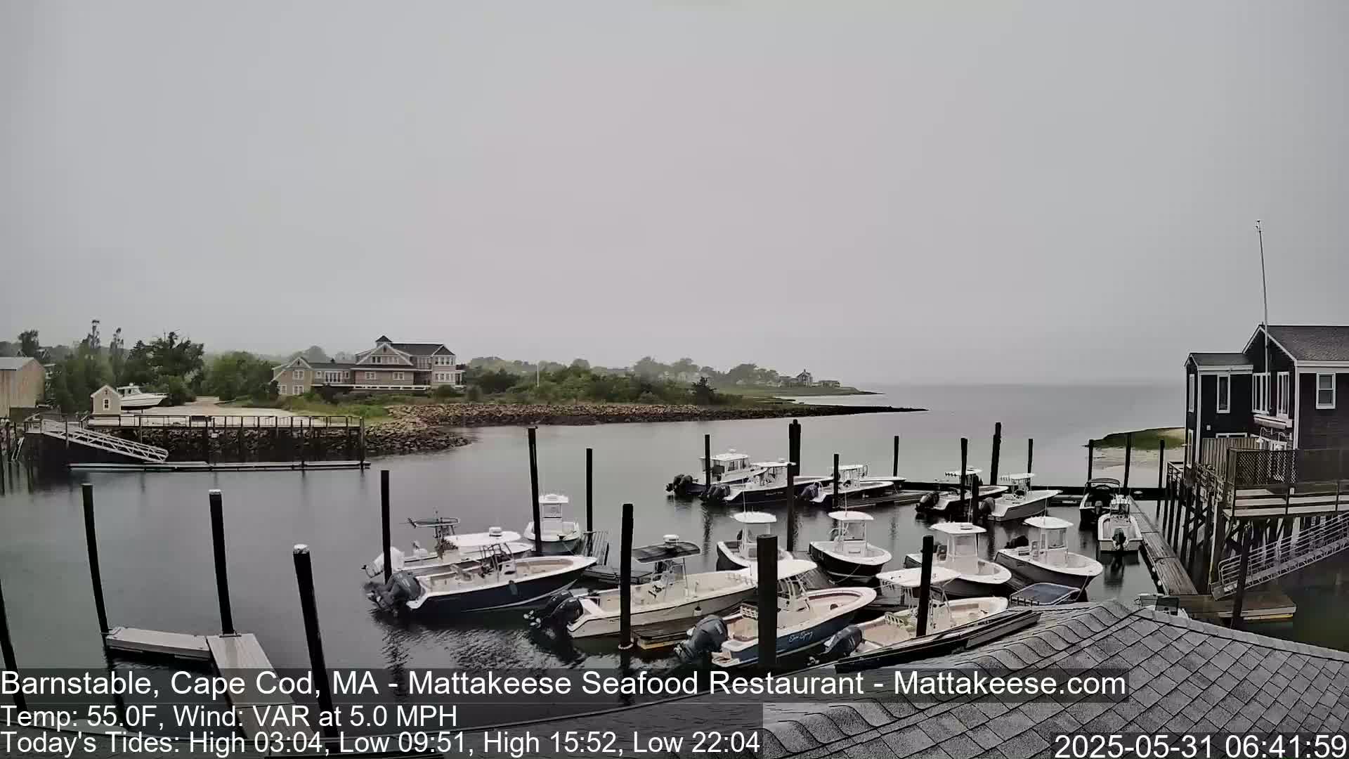 A mostly cloudy day shows many boats docked at a marina, with several houses and buildings visible along the shoreline.